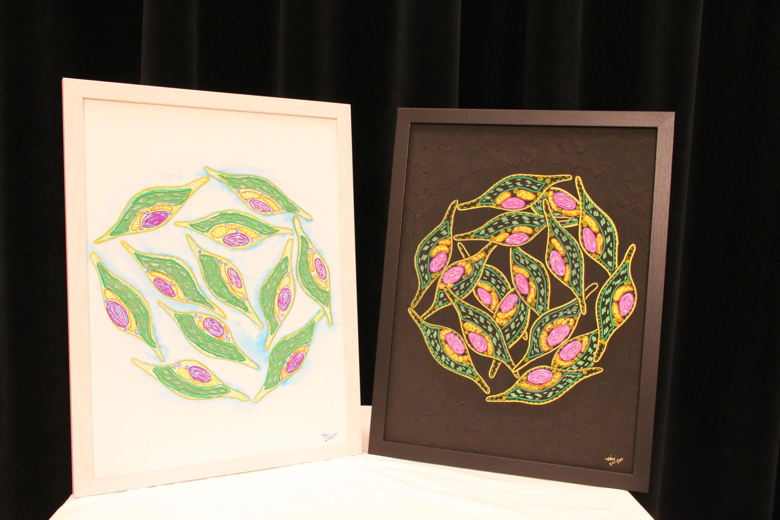 Light and Dark Activities of the Diatom