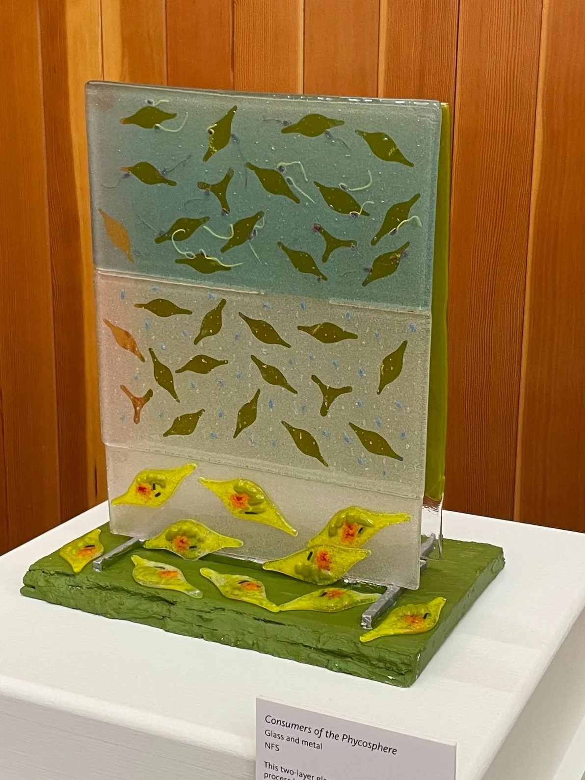 Consumers of the Phycosphere