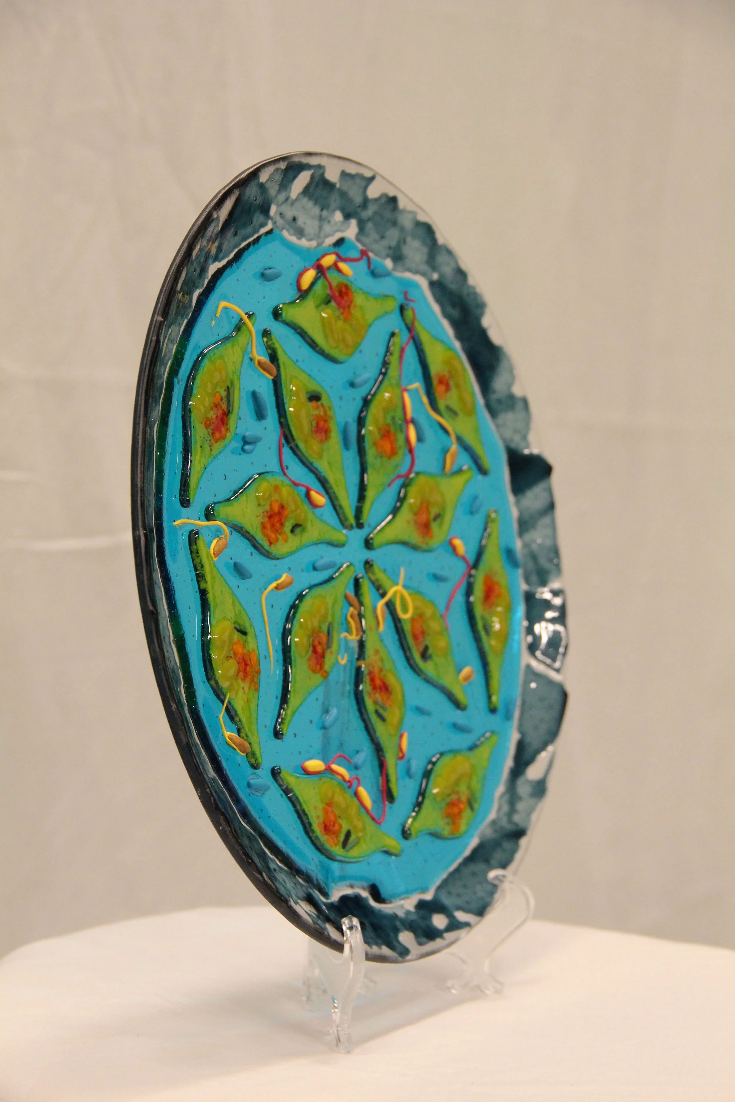 Microscopic View of the Phycosphere