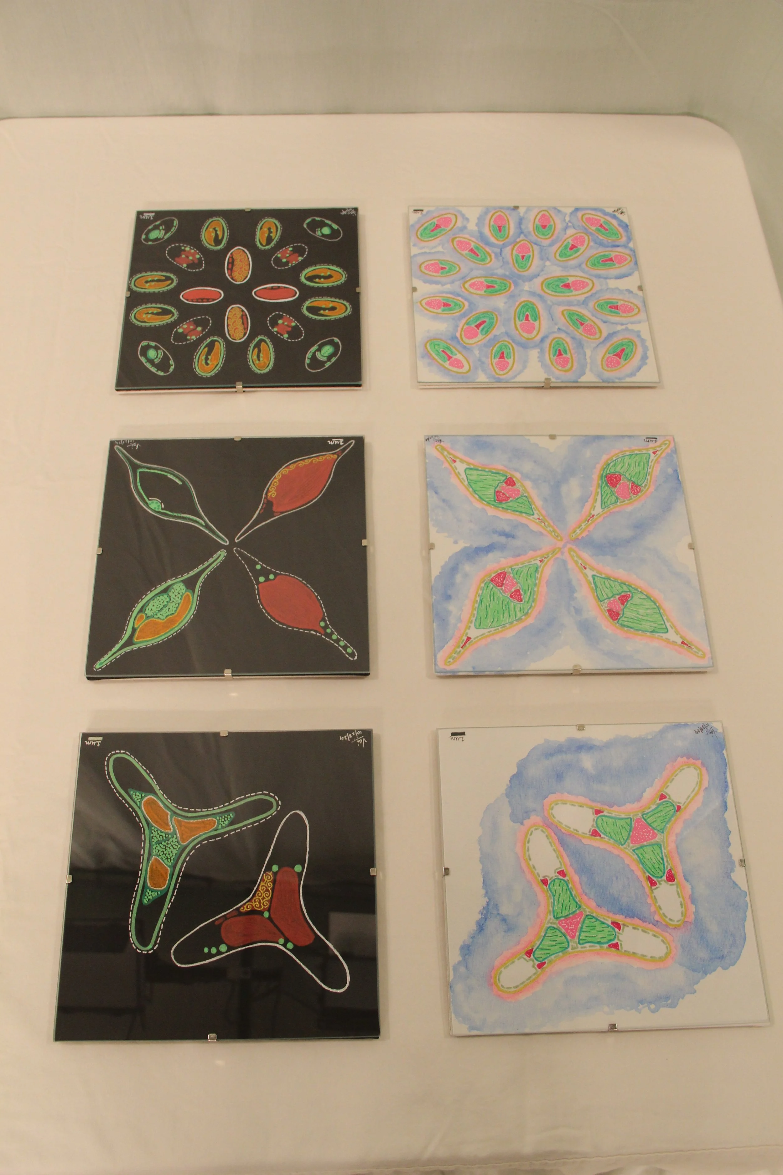 Morphology and Skeleton