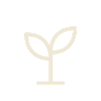 Simple line drawing of a small plant with two leaves.