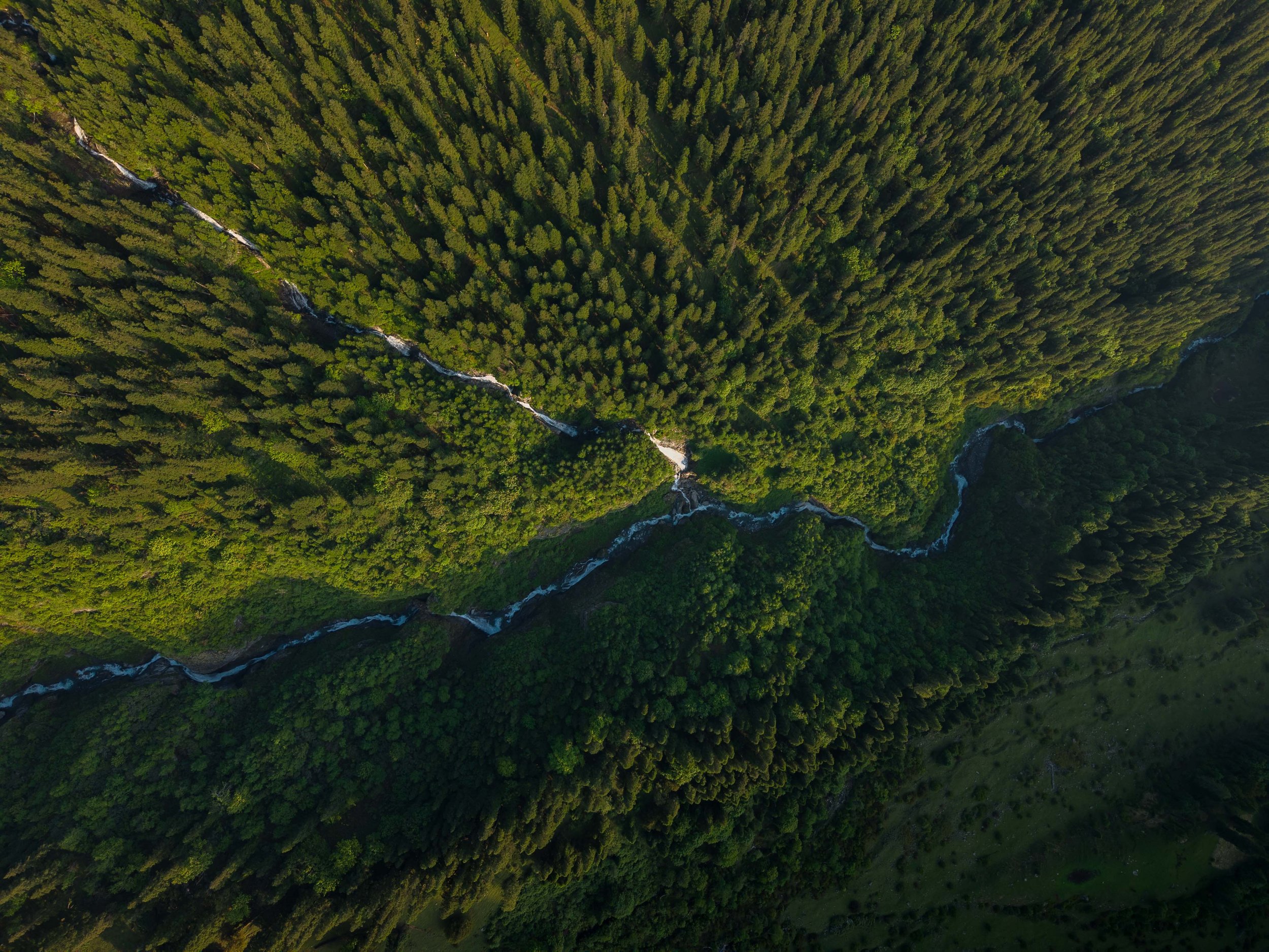 Chirag sadhnani - Sar Pass Trek - Himalayas-17.jpg