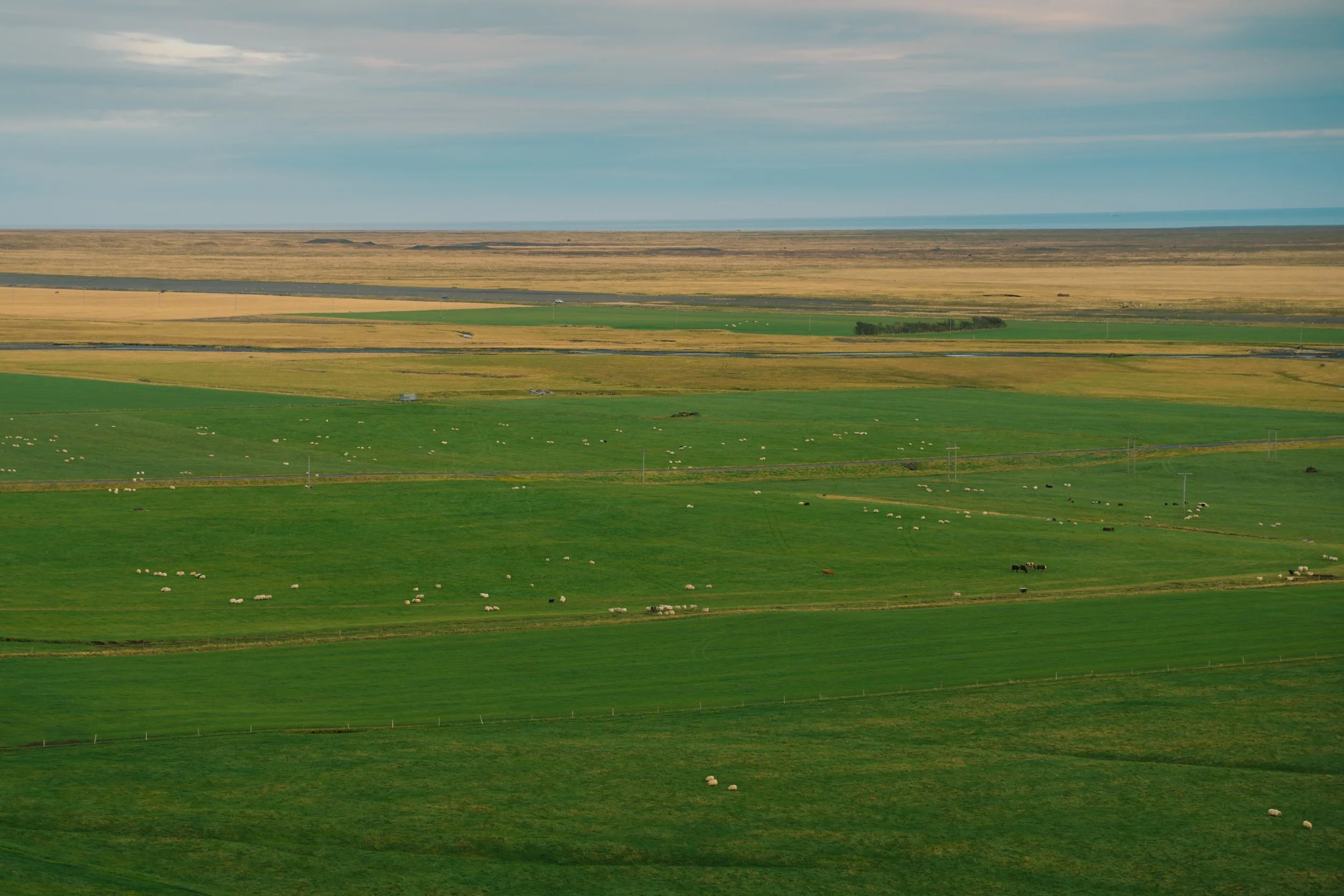 Chirag sadhnani - ICELAND - WILD CHILD STUDIOS-12.jpg