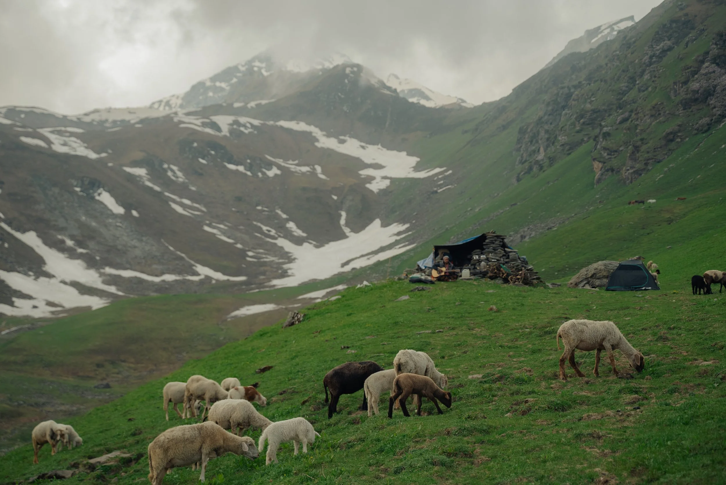 Chirag sadhnani - Sar Pass Trek - Himalayas-73.jpg