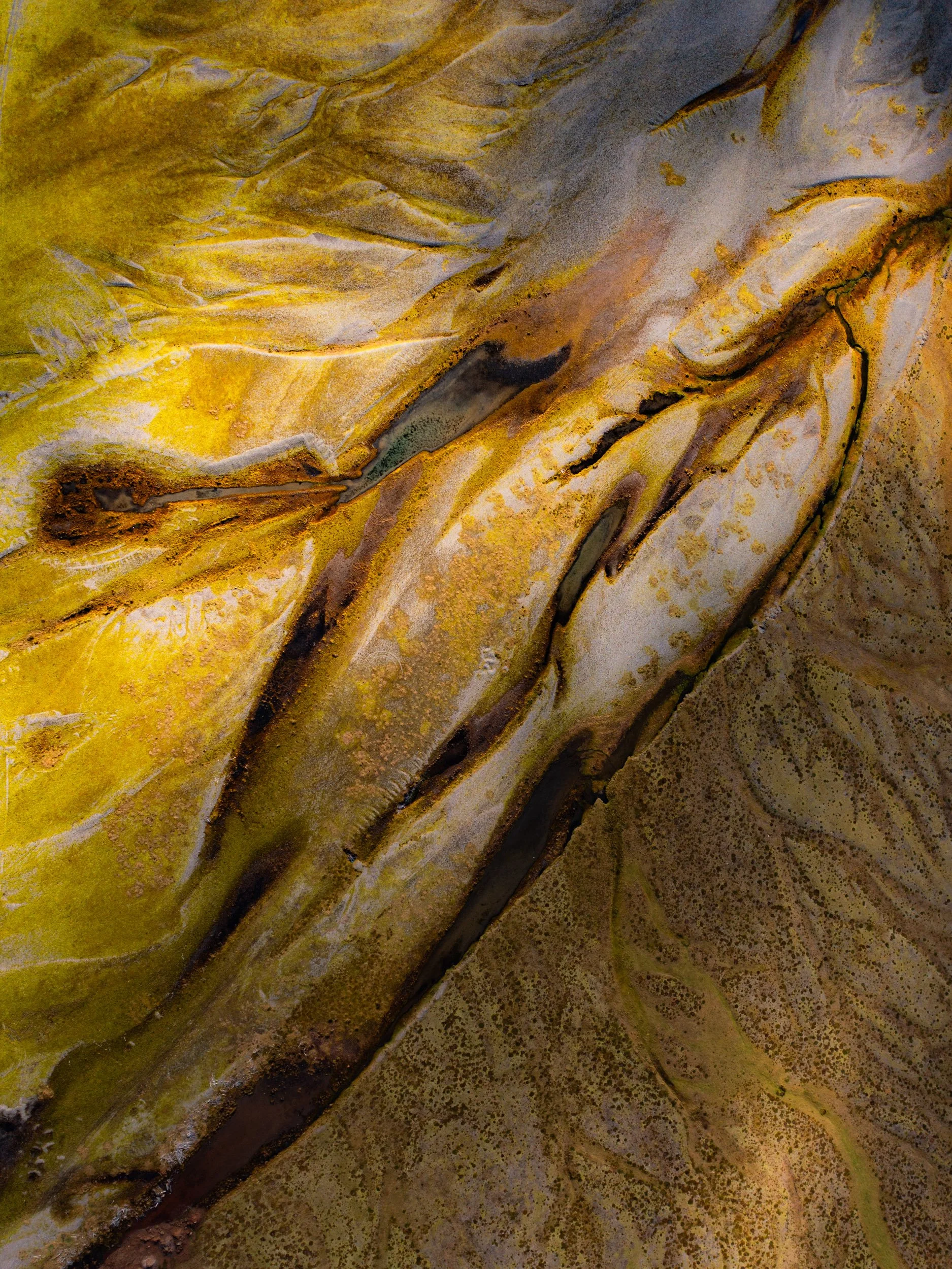 Chirag sadhnani - ICELAND - WILD CHILD STUDIOS-39.jpg