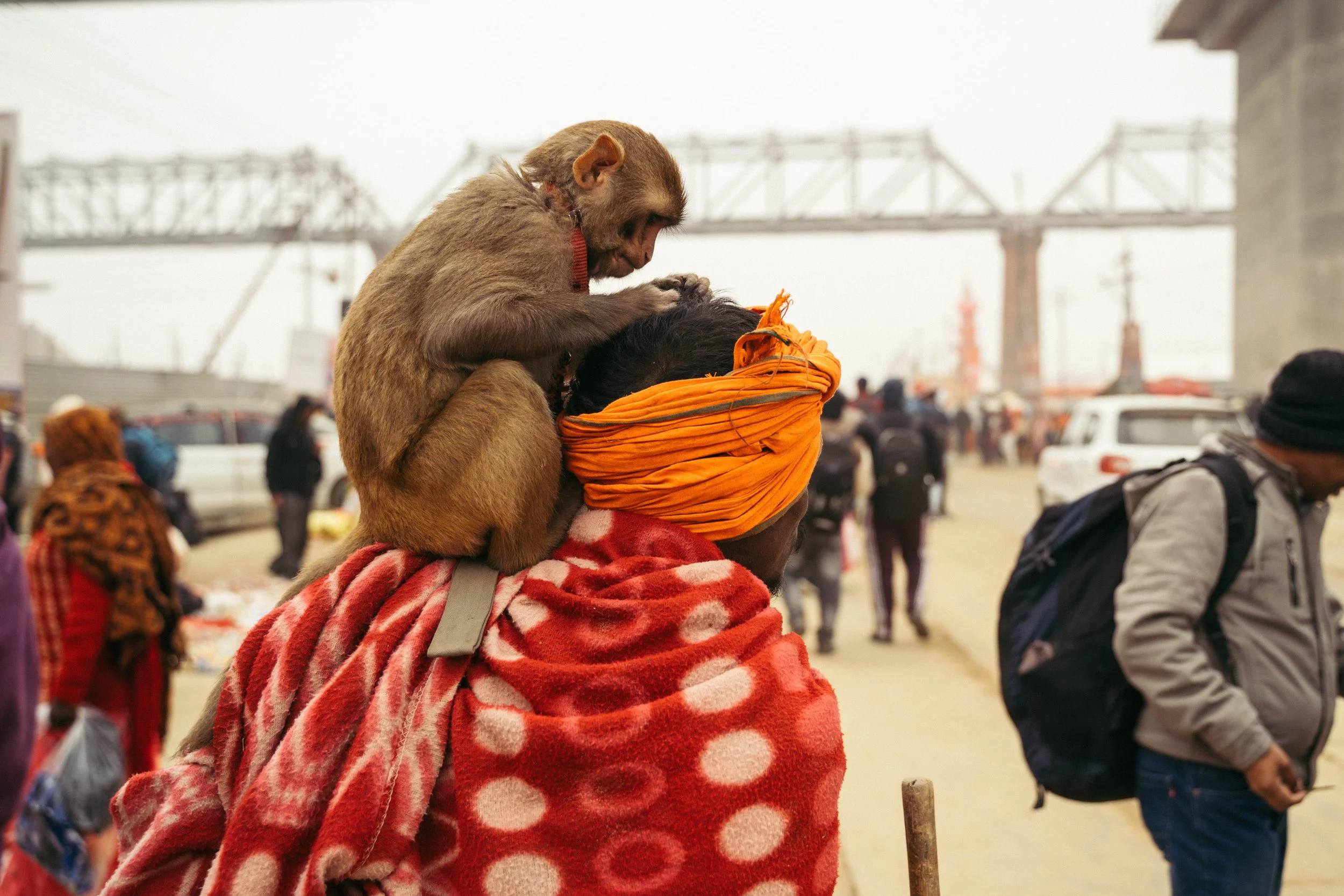 Kumbh-mela-mahakumbh-2025-prayagraj-42.jpg