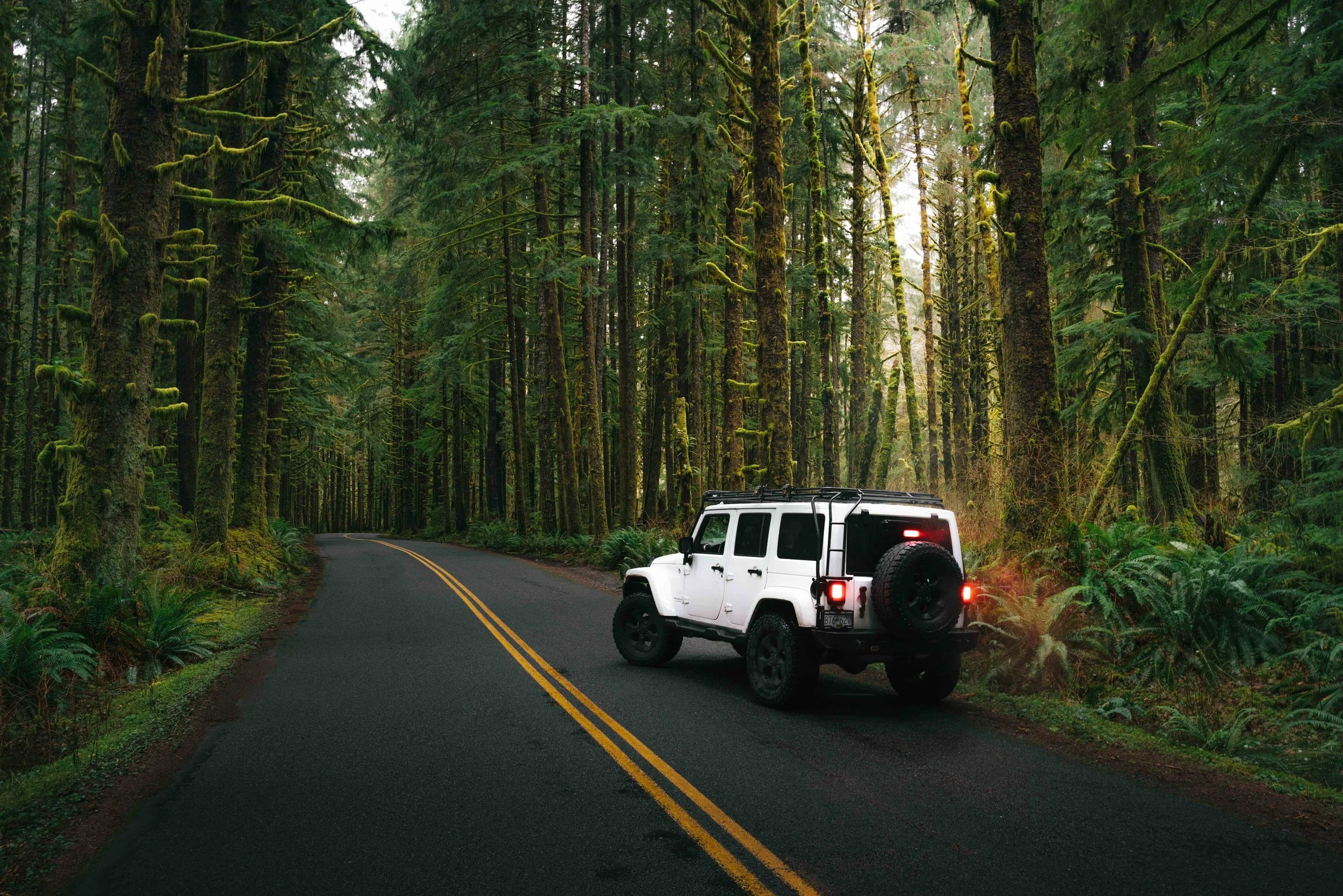 America’s Wild - Olympic National Park