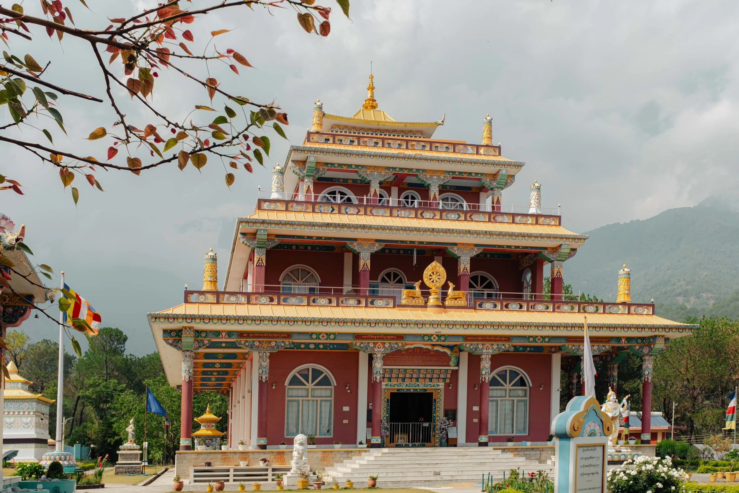Exploring Jia Monastery and Hidden Villages Near Dharamkot, Himachal Pradesh