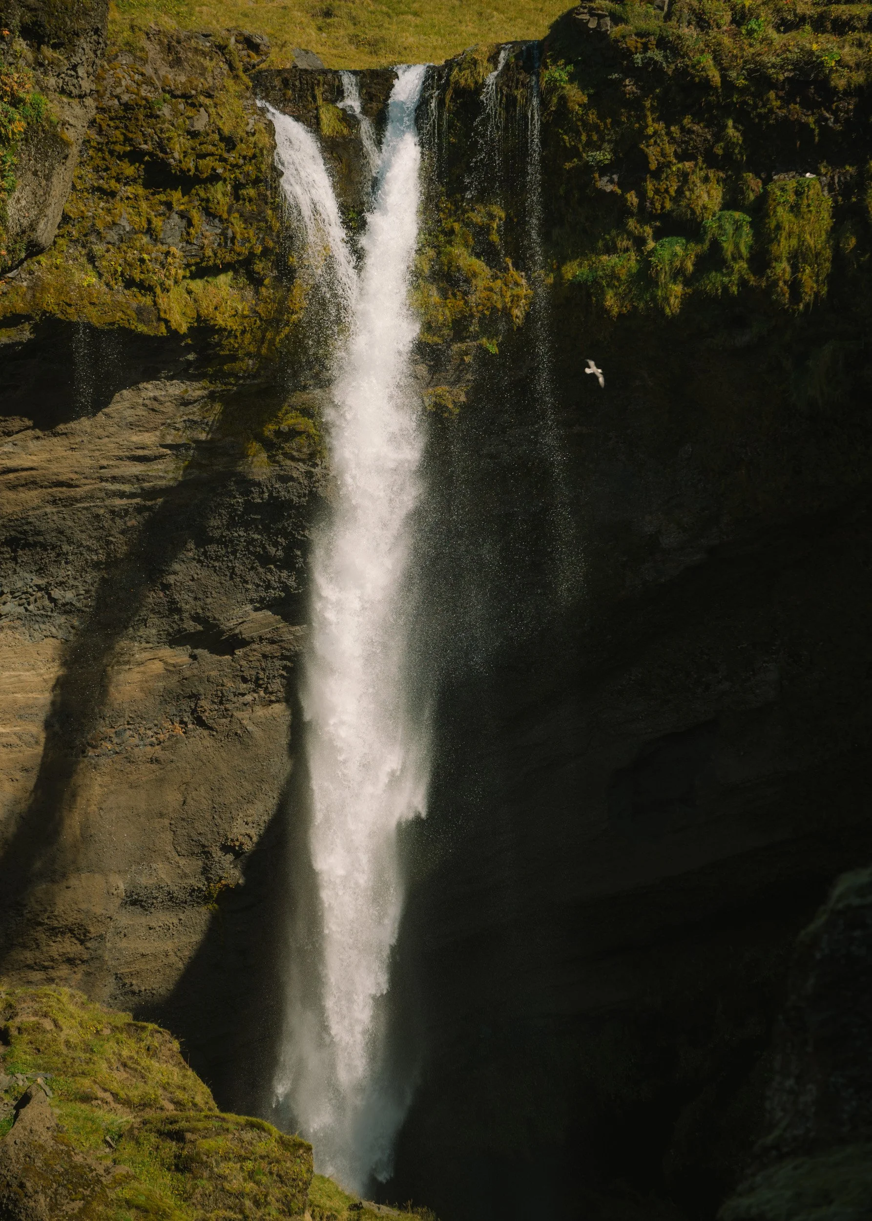 Chirag sadhnani - ICELAND - WILD CHILD STUDIOS-22.jpg