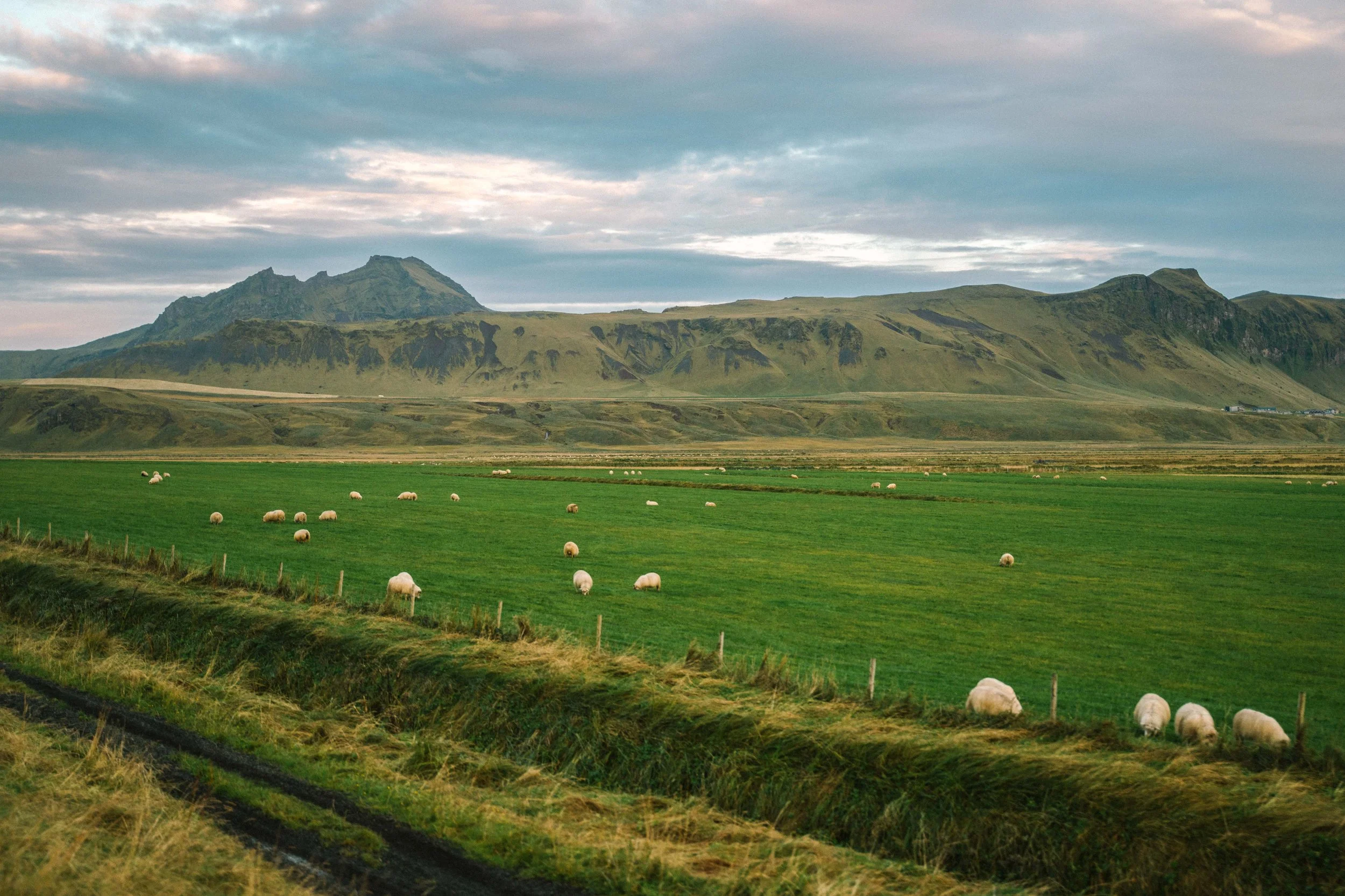 south-iceland-landscapes-15.jpg