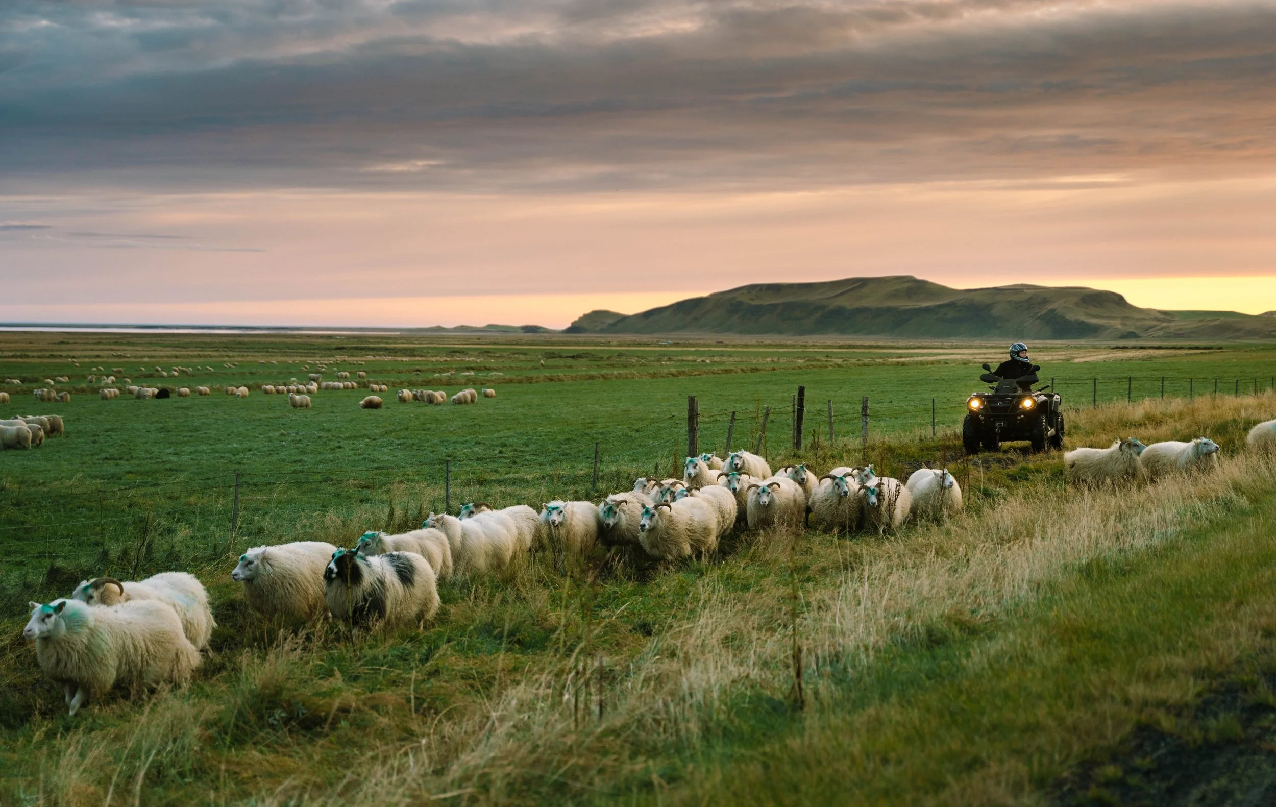 south-iceland-landscapes-16.jpg