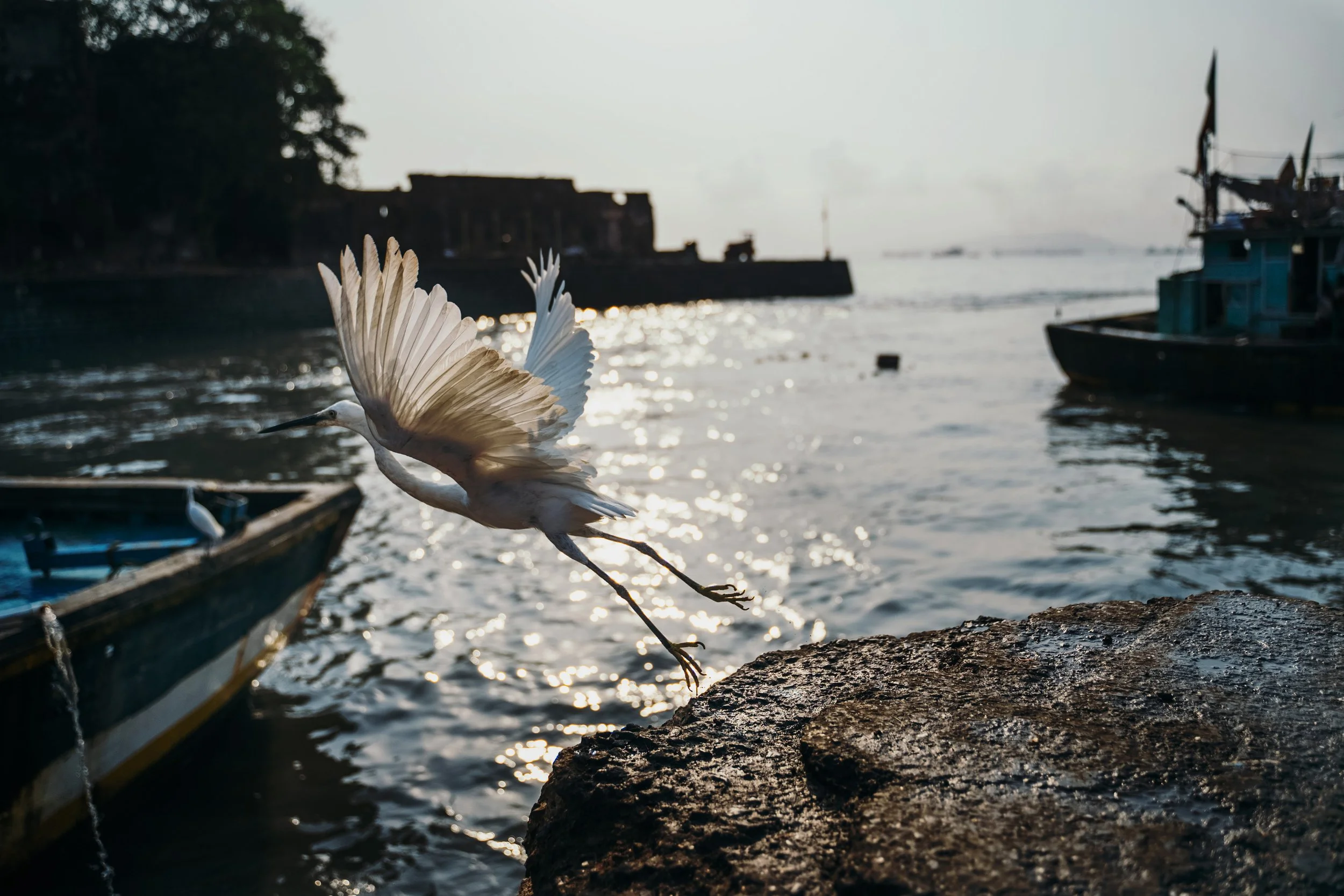 tides-of-time-sassoon-docks-mumbai-6.jpg