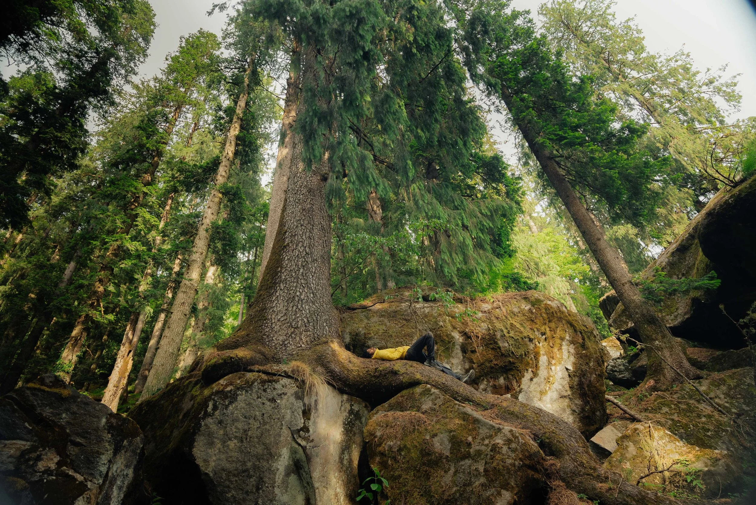 Chirag sadhnani - Sar Pass Trek - Himalayas-93.jpg
