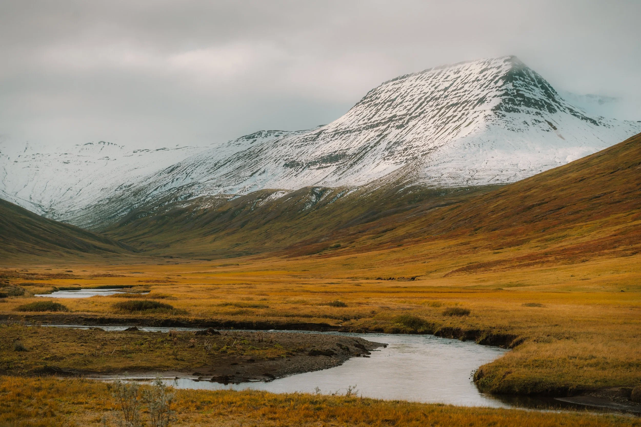 Wild Westfjords - Iceland