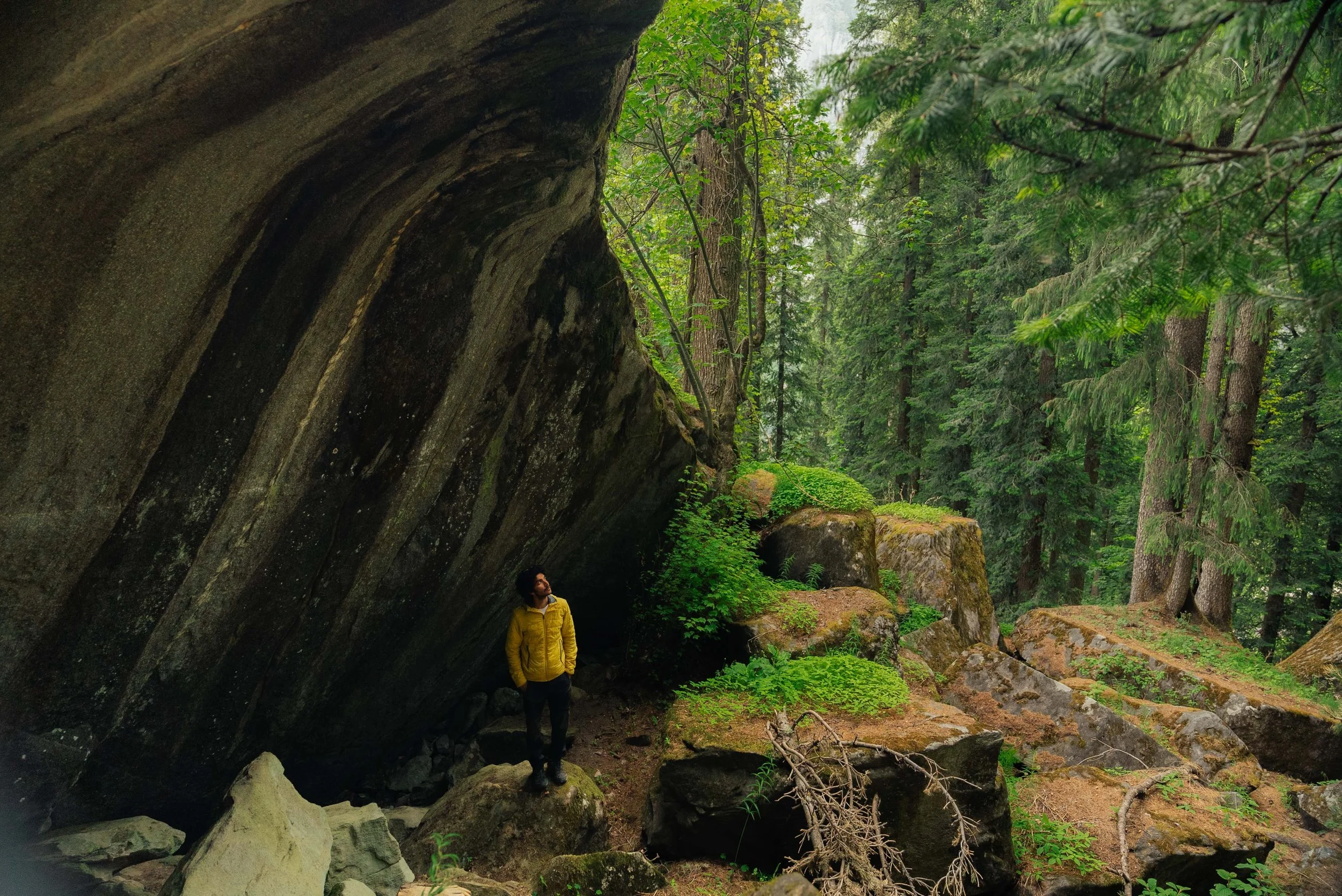 Chirag sadhnani - Sar Pass Trek - Himalayas-92.jpg