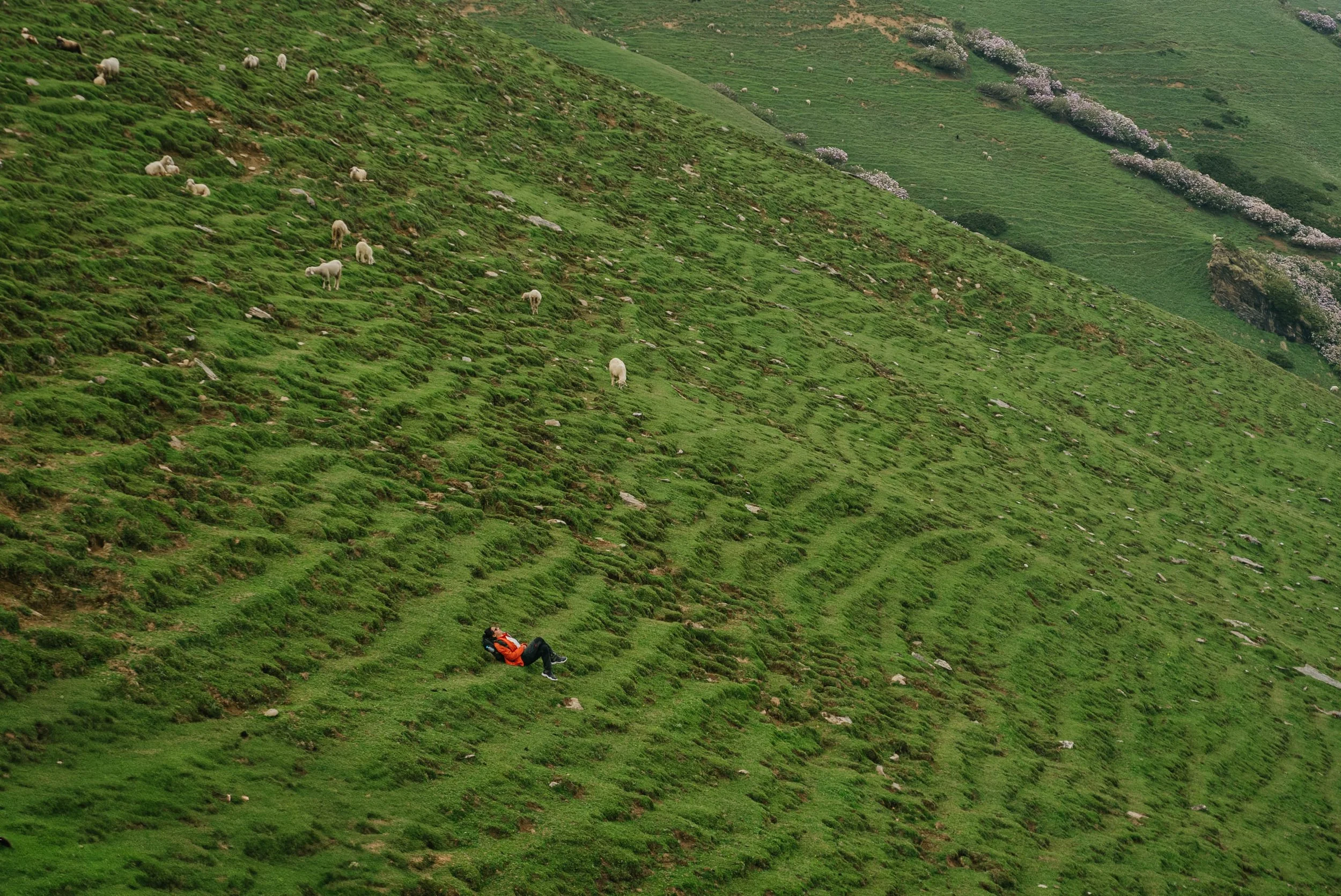 Chirag sadhnani - Sar Pass Trek - Himalayas-75.jpg