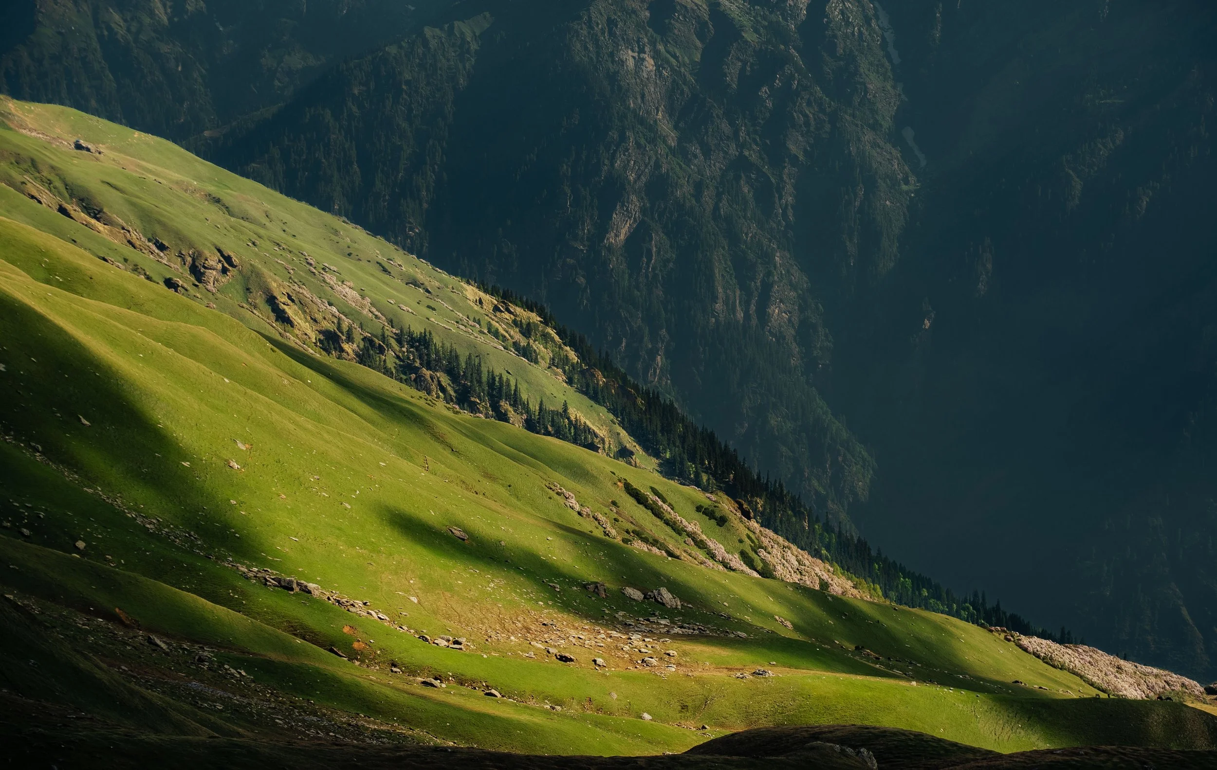 Chirag sadhnani - Sar Pass Trek - Himalayas-69.jpg