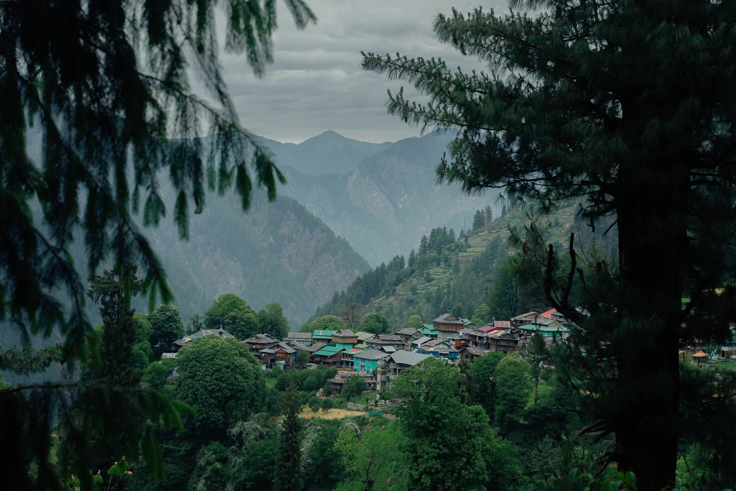 Chirag sadhnani - Sar Pass Trek - Himalayas-21.jpg