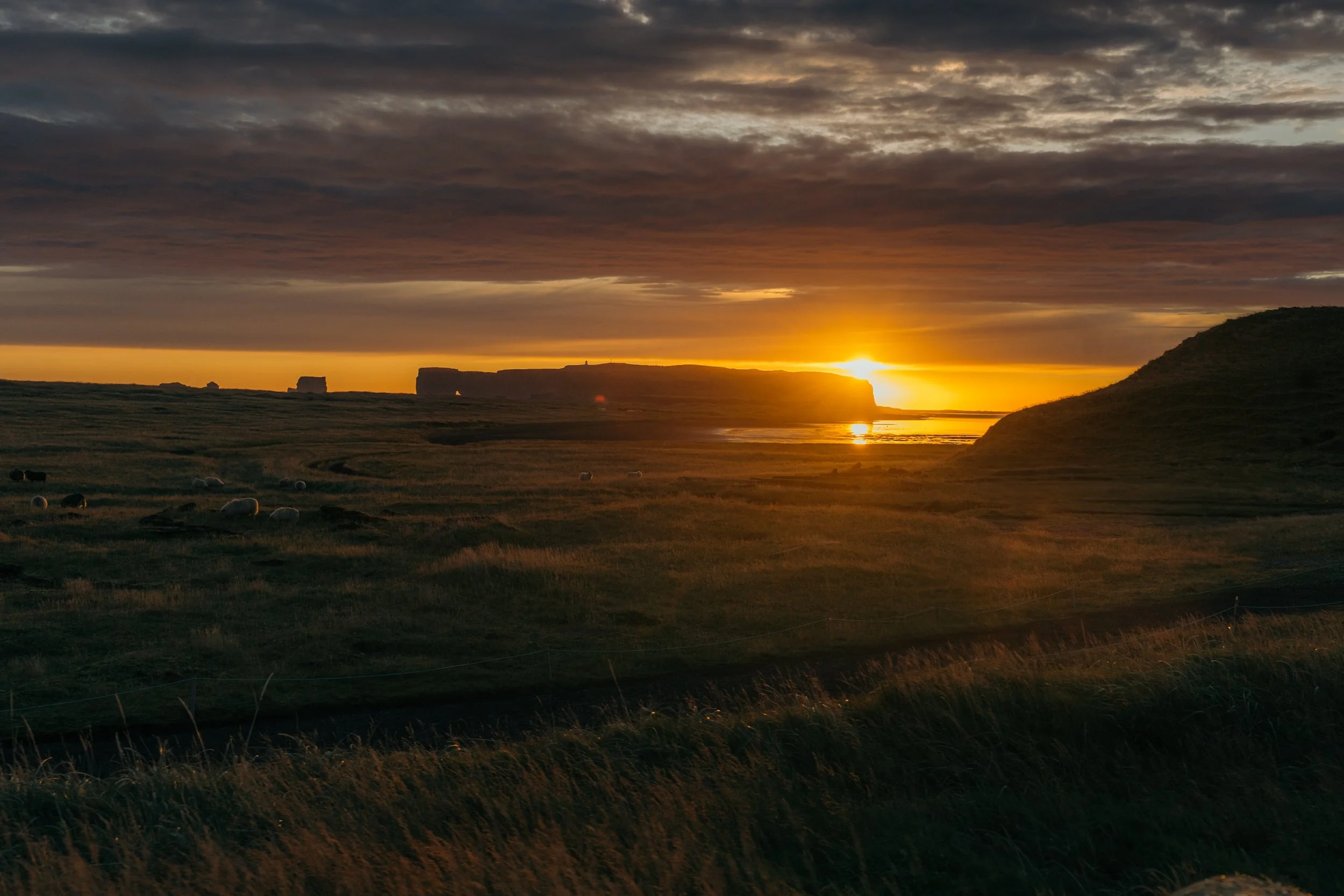 Chirag sadhnani - ICELAND - WILD CHILD STUDIOS-17.jpg