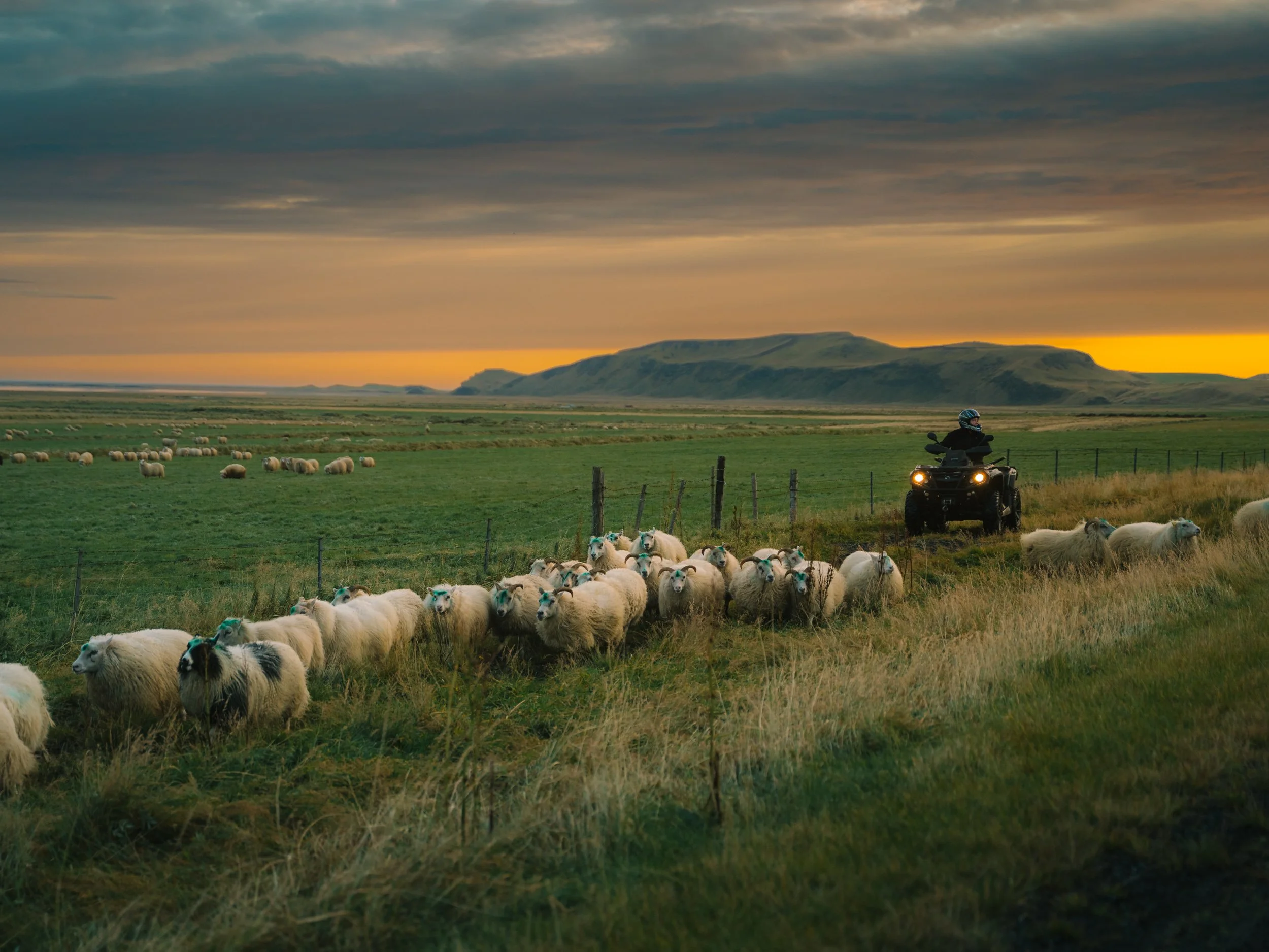 Chirag sadhnani - ICELAND - WILD CHILD STUDIOS-16.jpg