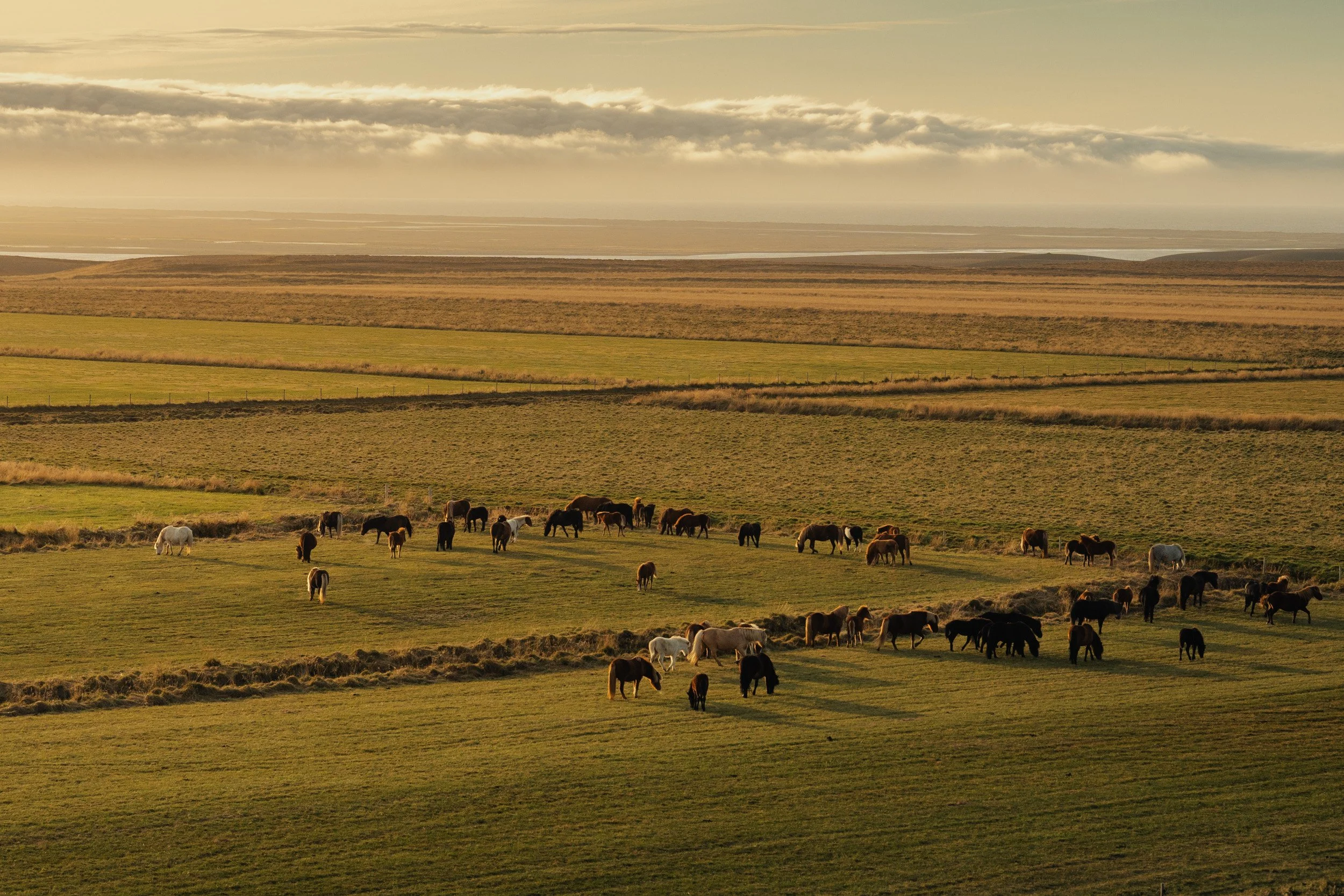 Chirag sadhnani - ICELAND - WILD CHILD STUDIOS-101.jpg