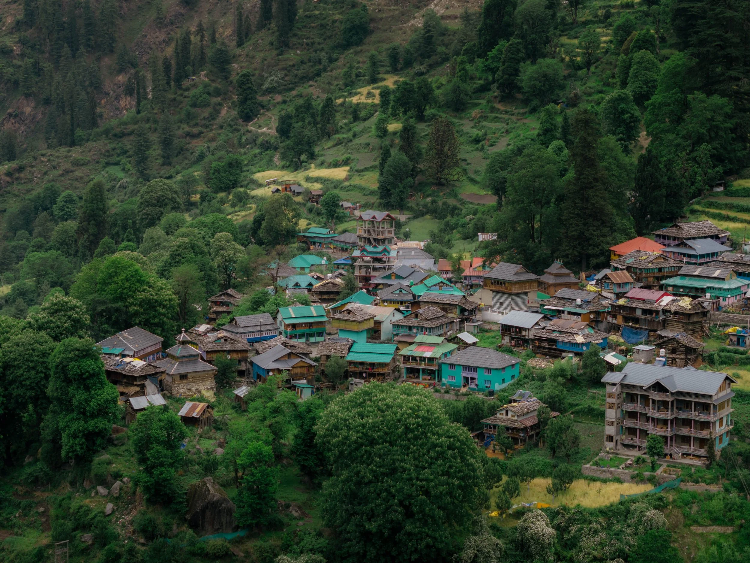 Chirag sadhnani - Sar Pass Trek - Himalayas.jpg