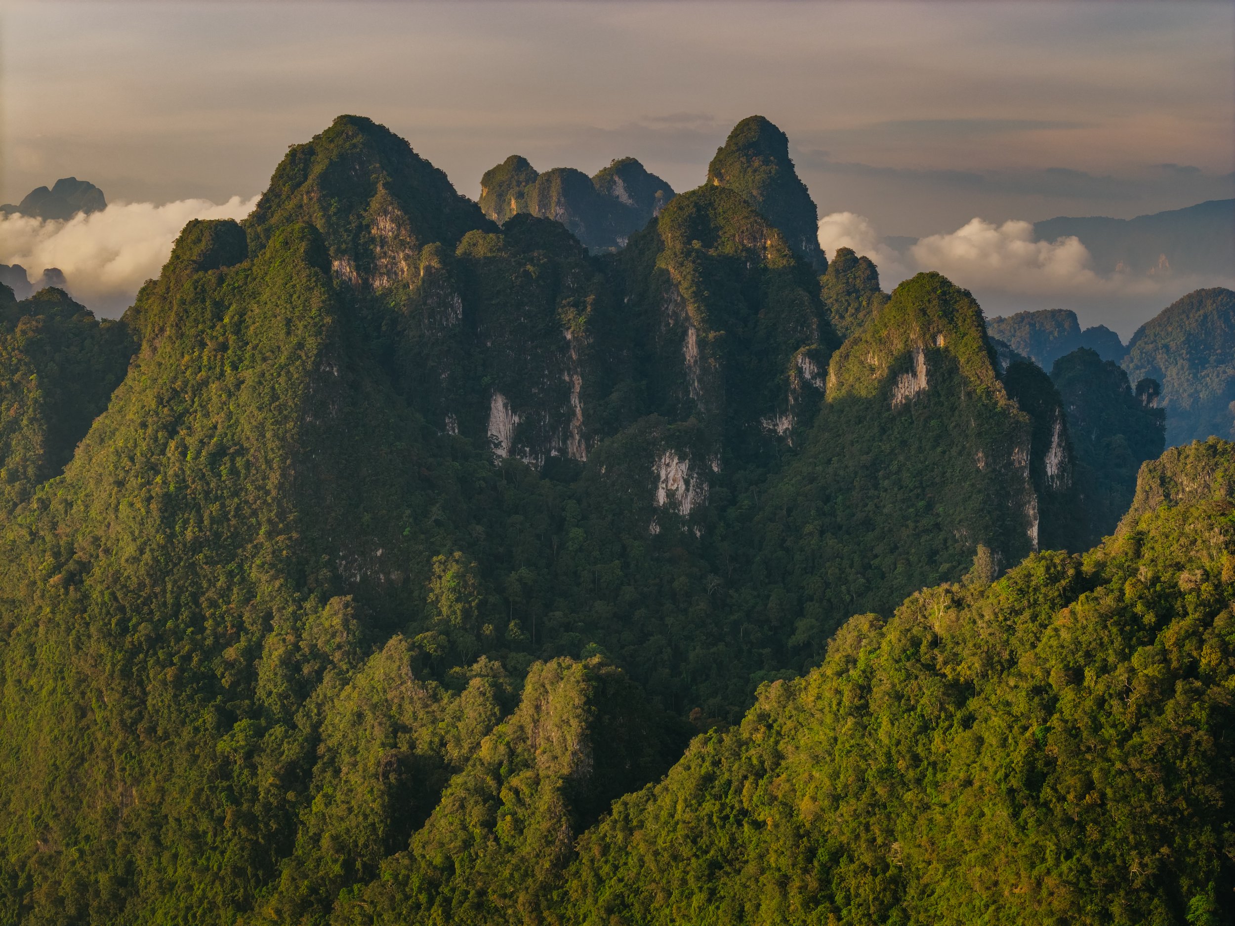 DJI_20241224060200_0131_D.jpg