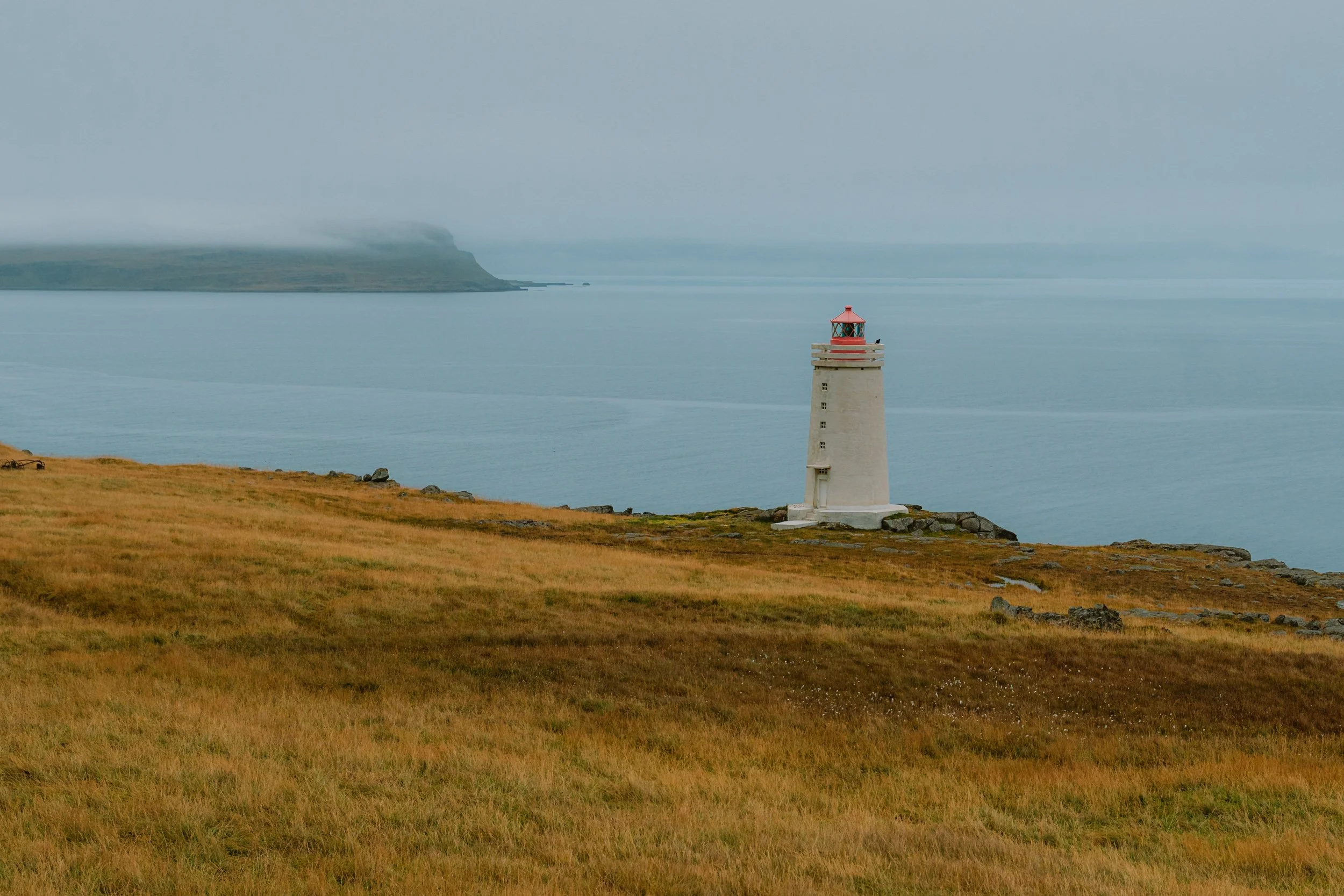 Chirag sadhnani - ICELAND - WILD CHILD STUDIOS-102.jpg