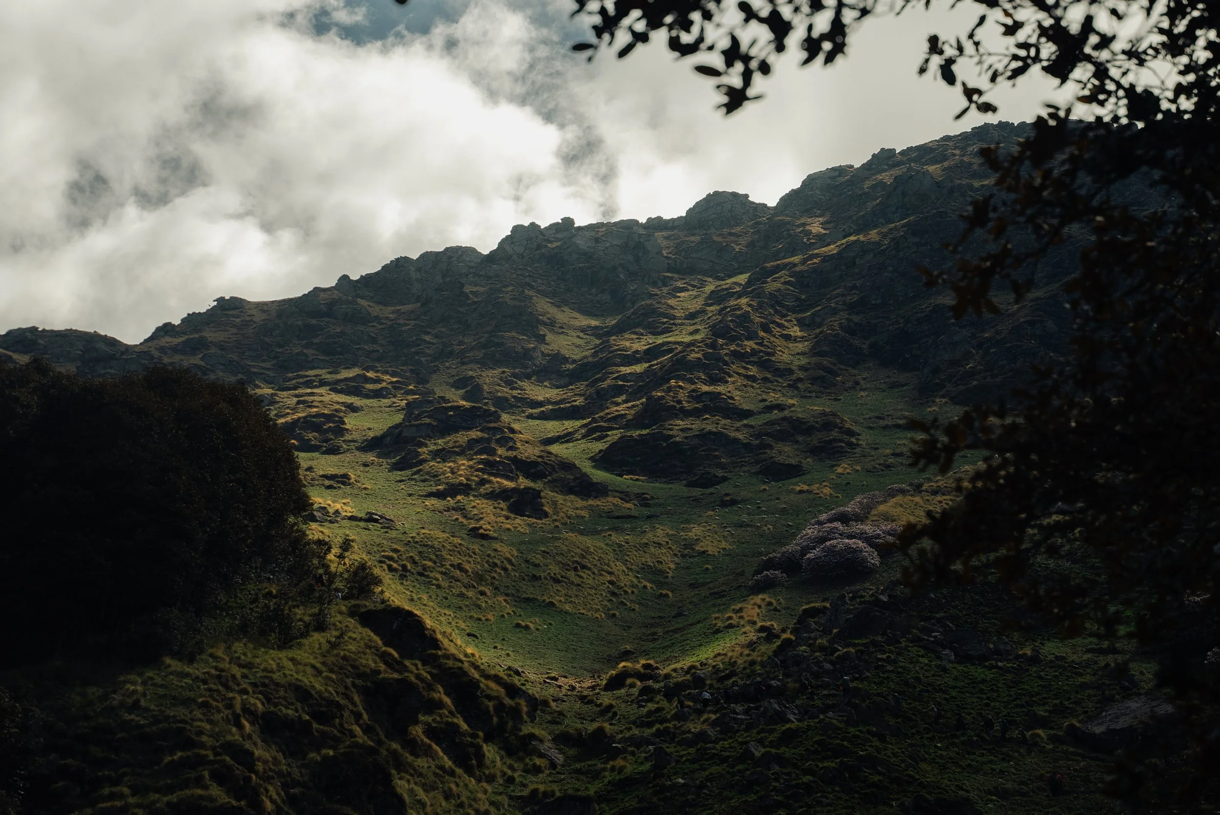 Chirag sadhnani - Sar Pass Trek - Himalayas-42.jpg