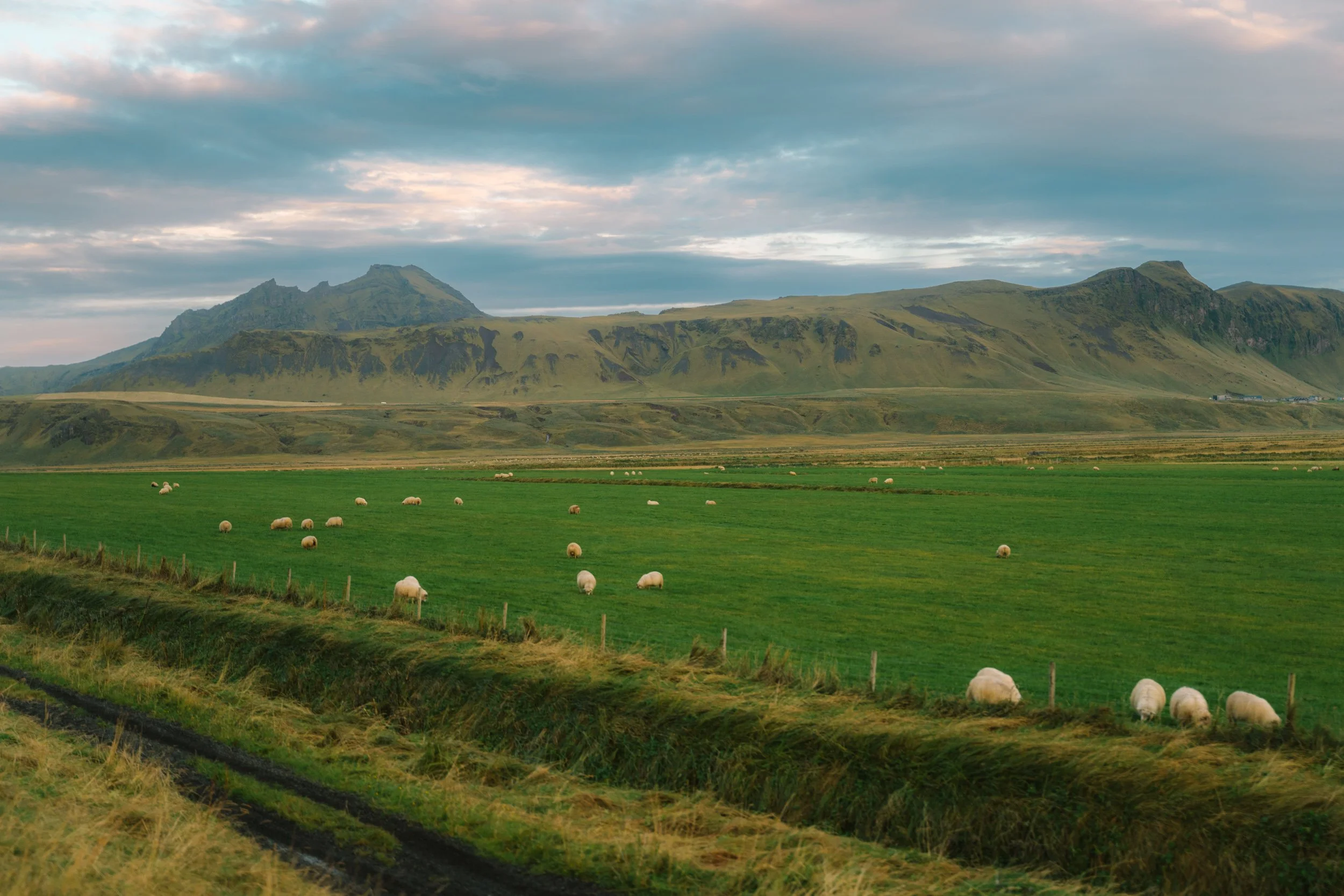 Chirag sadhnani - ICELAND - WILD CHILD STUDIOS-15.jpg