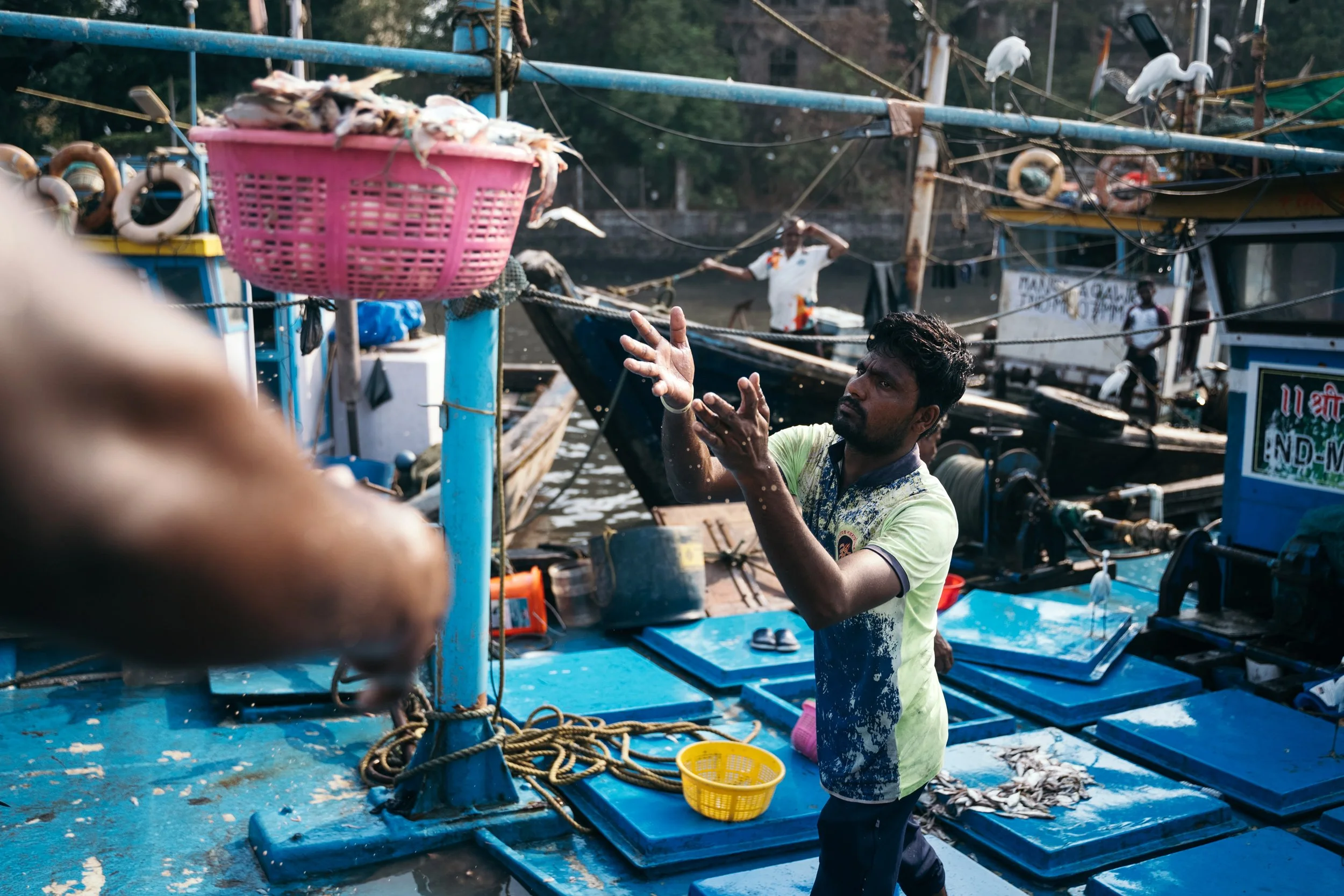 tides-of-time-sassoon-docks-mumbai-9.jpg