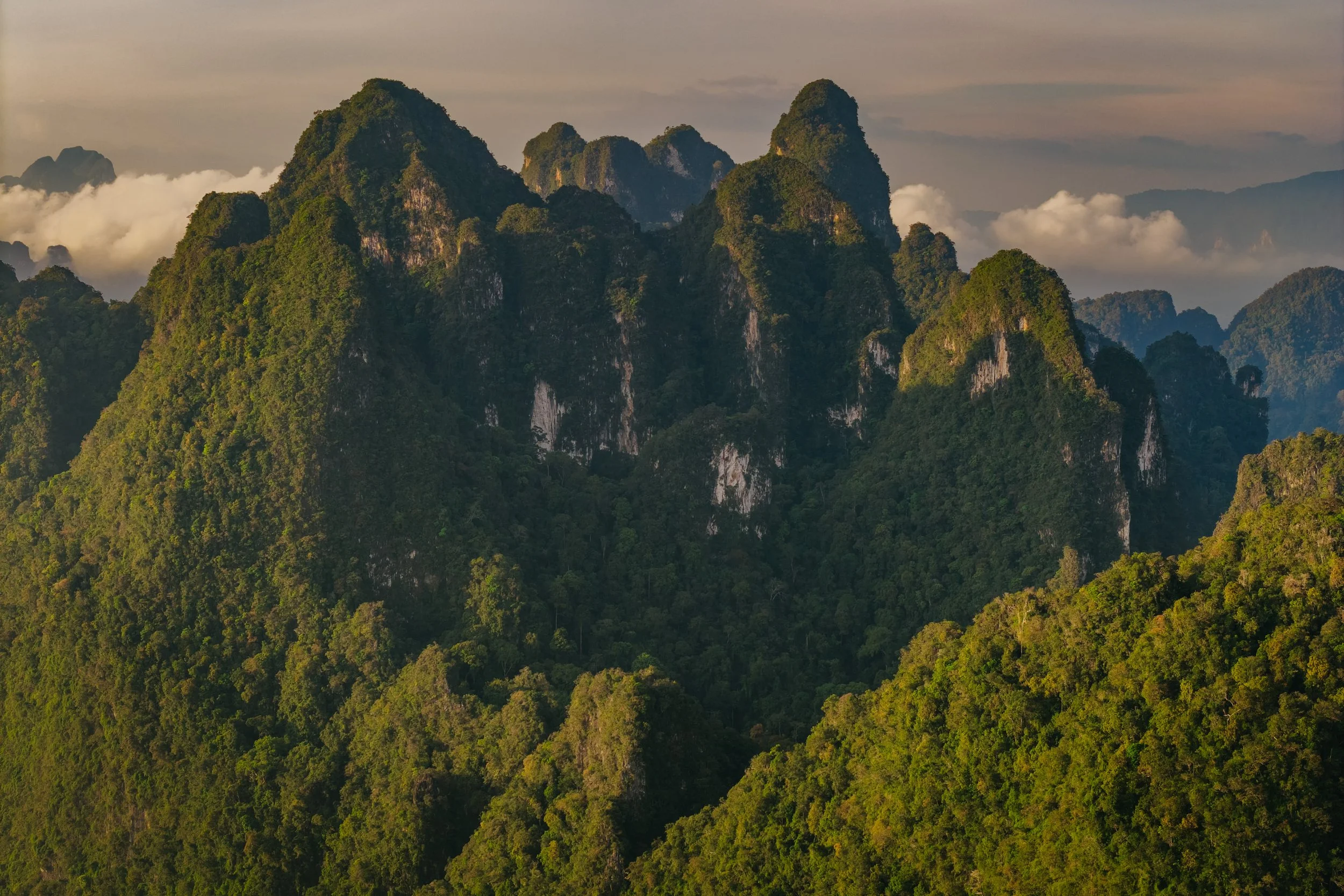 DJI_20241224060200_0131_D.jpg