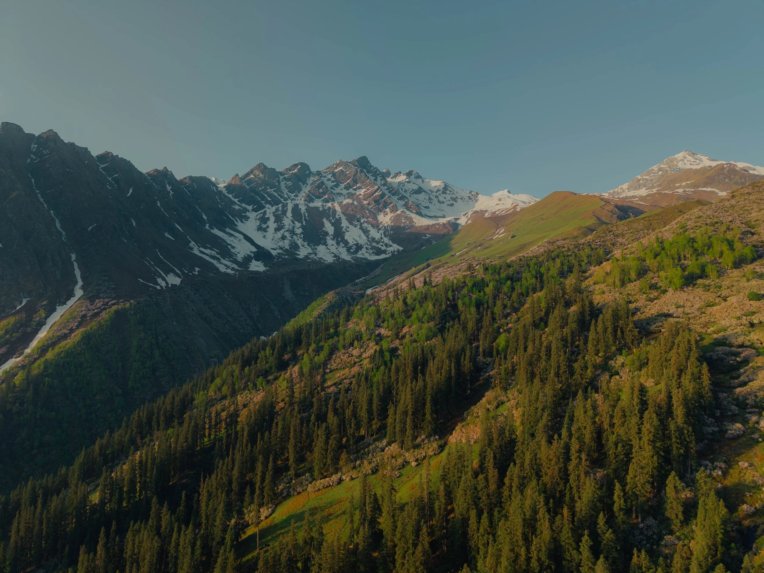 Chirag sadhnani - Sar Pass Trek - Himalayas-14.jpg