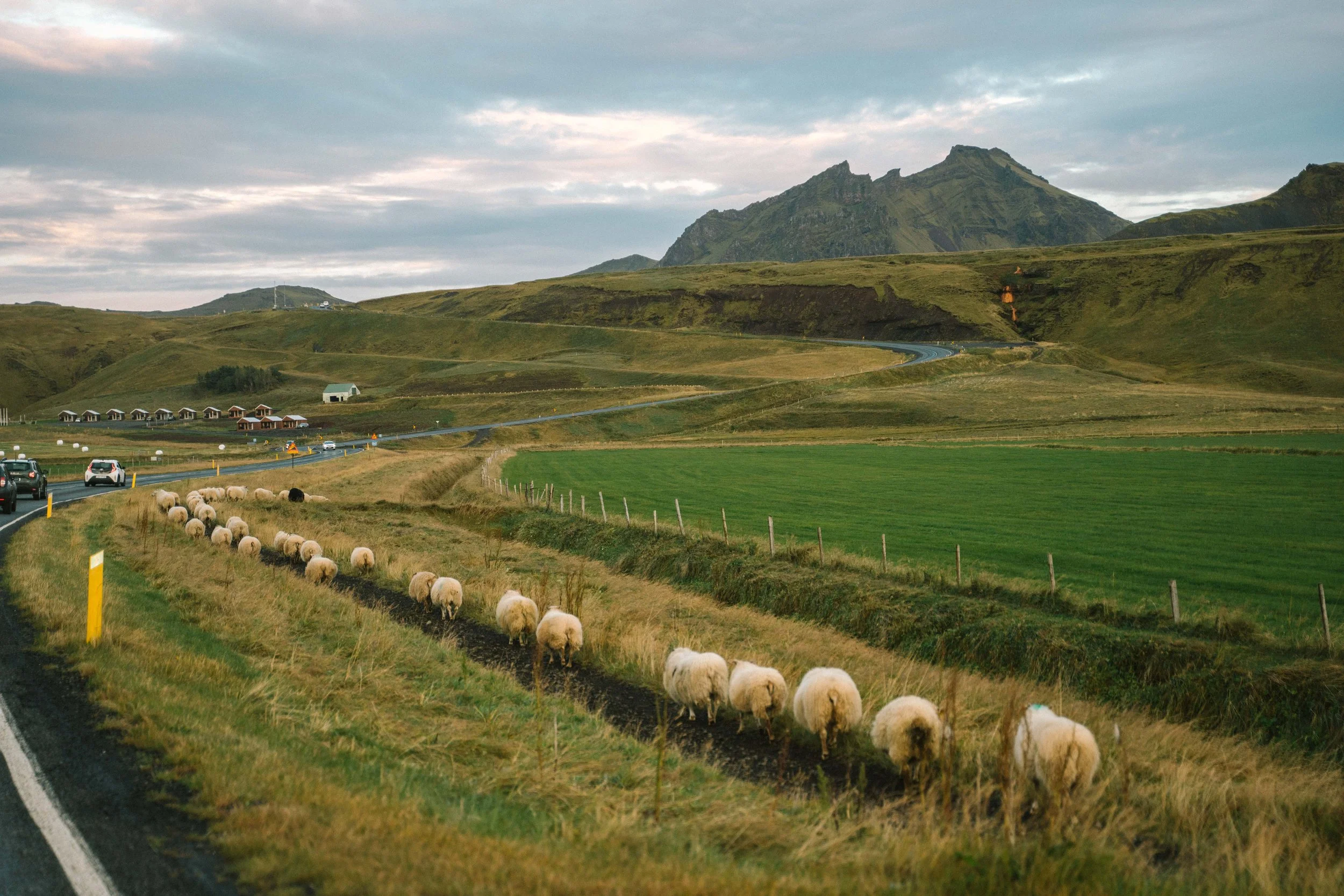 south-iceland-landscapes-17.jpg