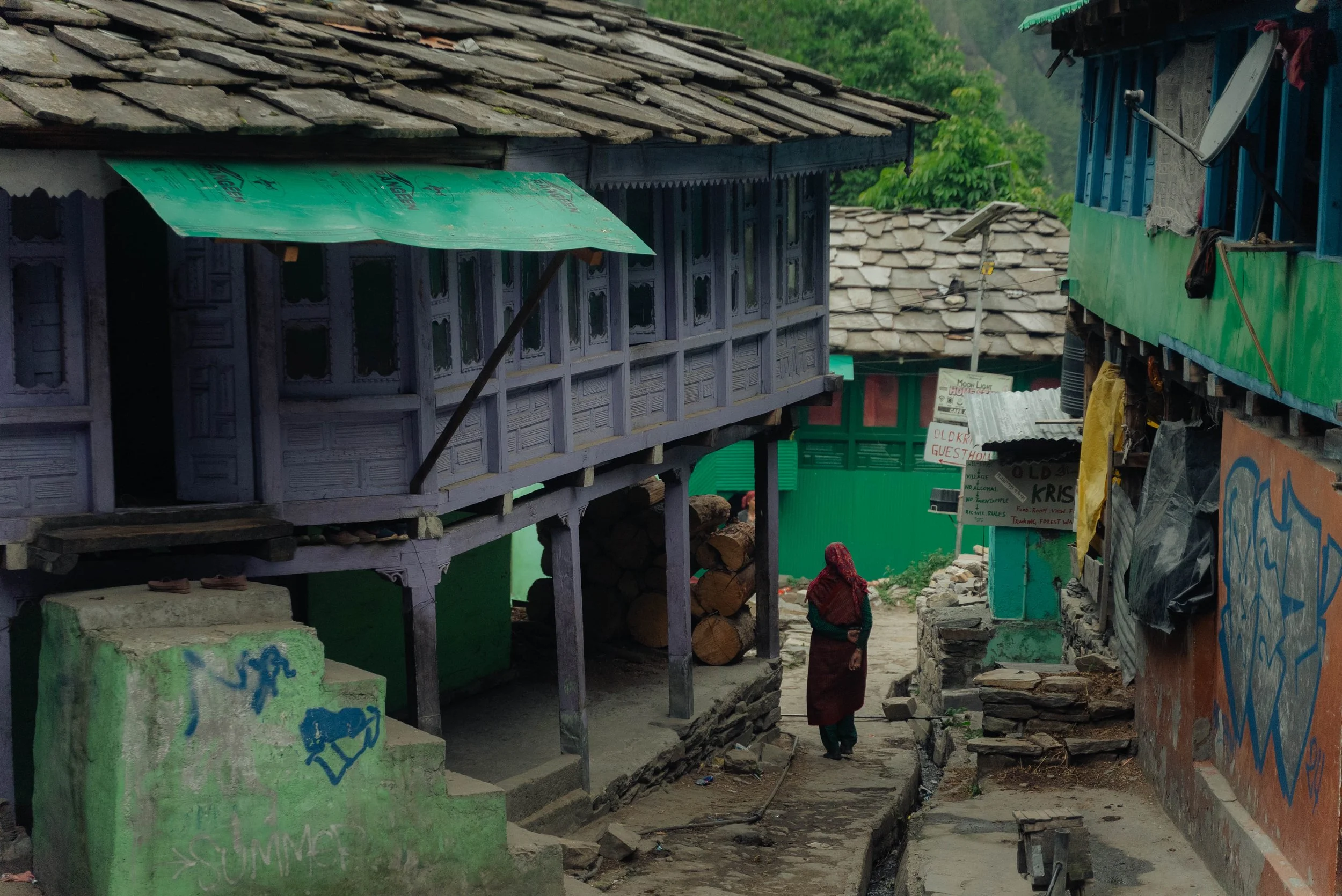 Chirag sadhnani - Sar Pass Trek - Himalayas-18.jpg