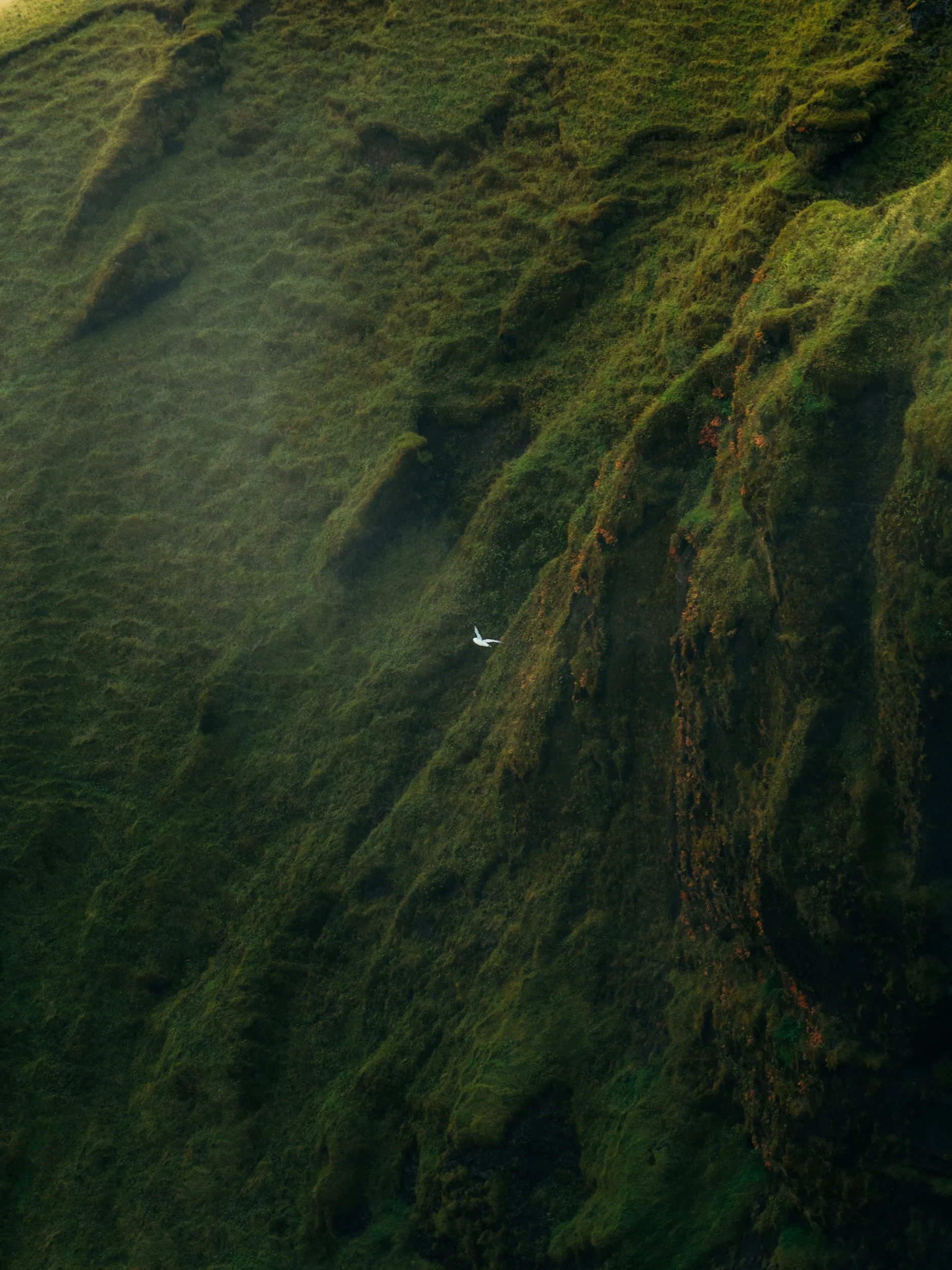 Chirag sadhnani - ICELAND - WILD CHILD STUDIOS-9.jpg