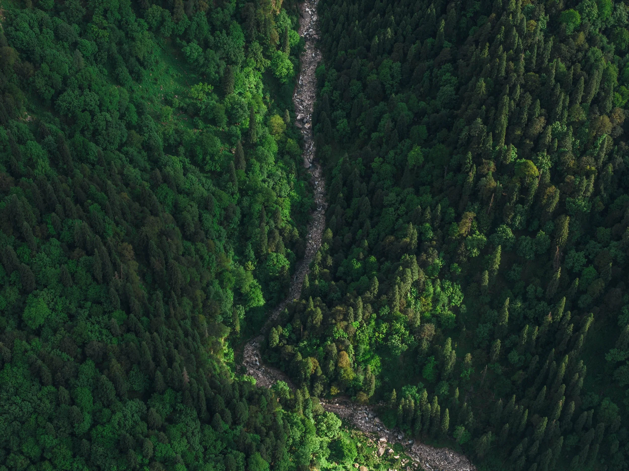 Chirag sadhnani - Sar Pass Trek - Himalayas-6.jpg