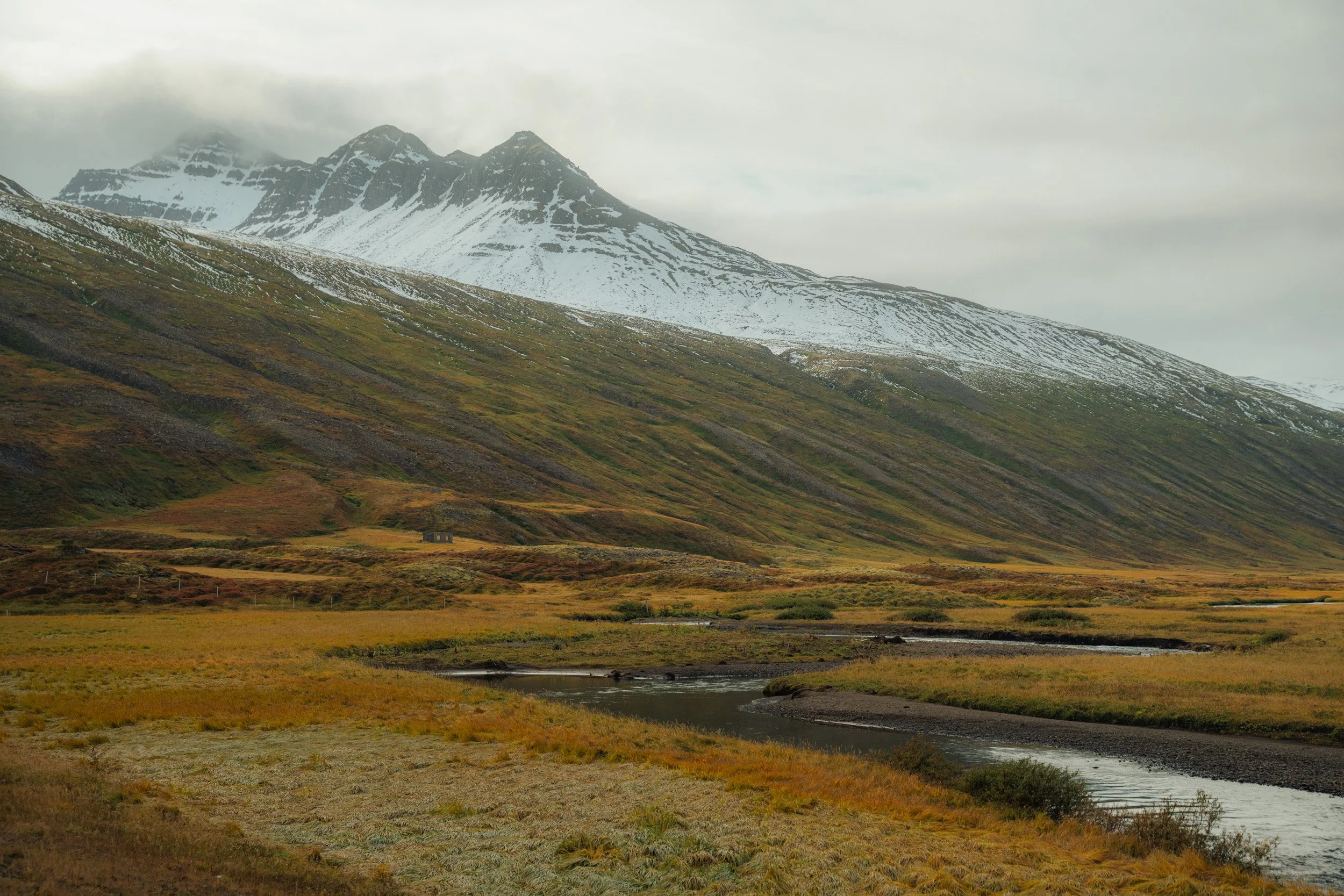 Chirag sadhnani - ICELAND - WILD CHILD STUDIOS-87.jpg