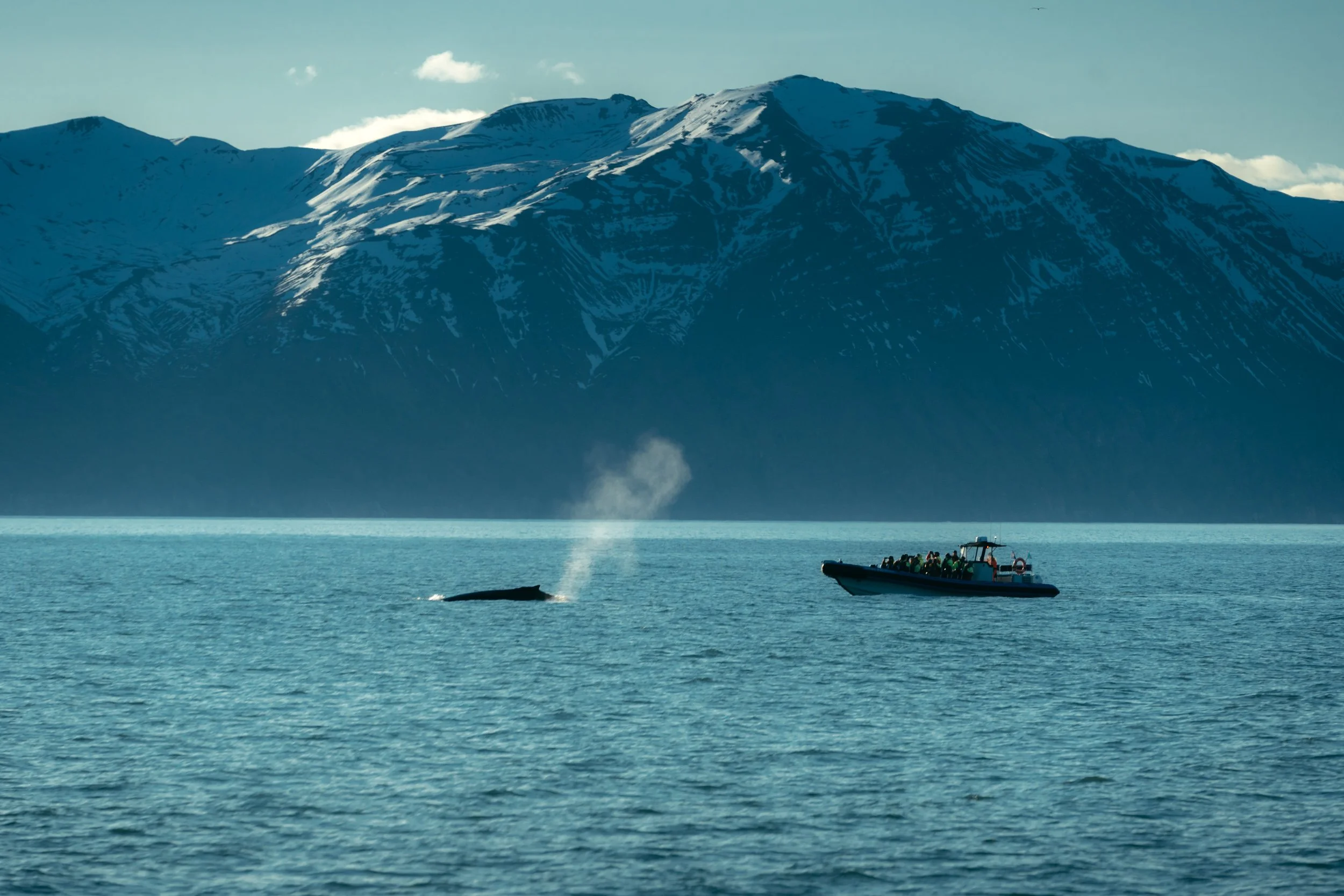 Chirag sadhnani - ICELAND - WILD CHILD STUDIOS-72.jpg