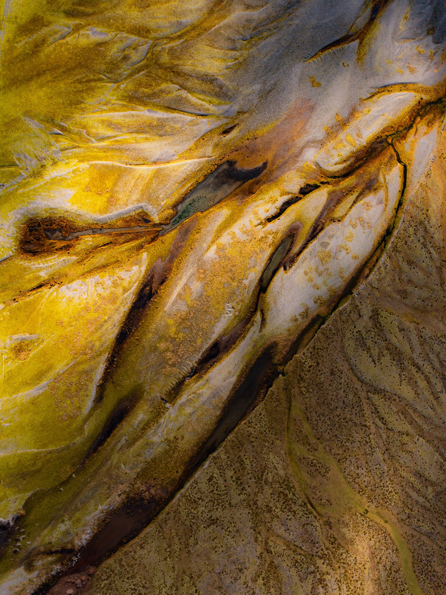 Chirag sadhnani - ICELAND - WILD CHILD STUDIOS-39.jpg