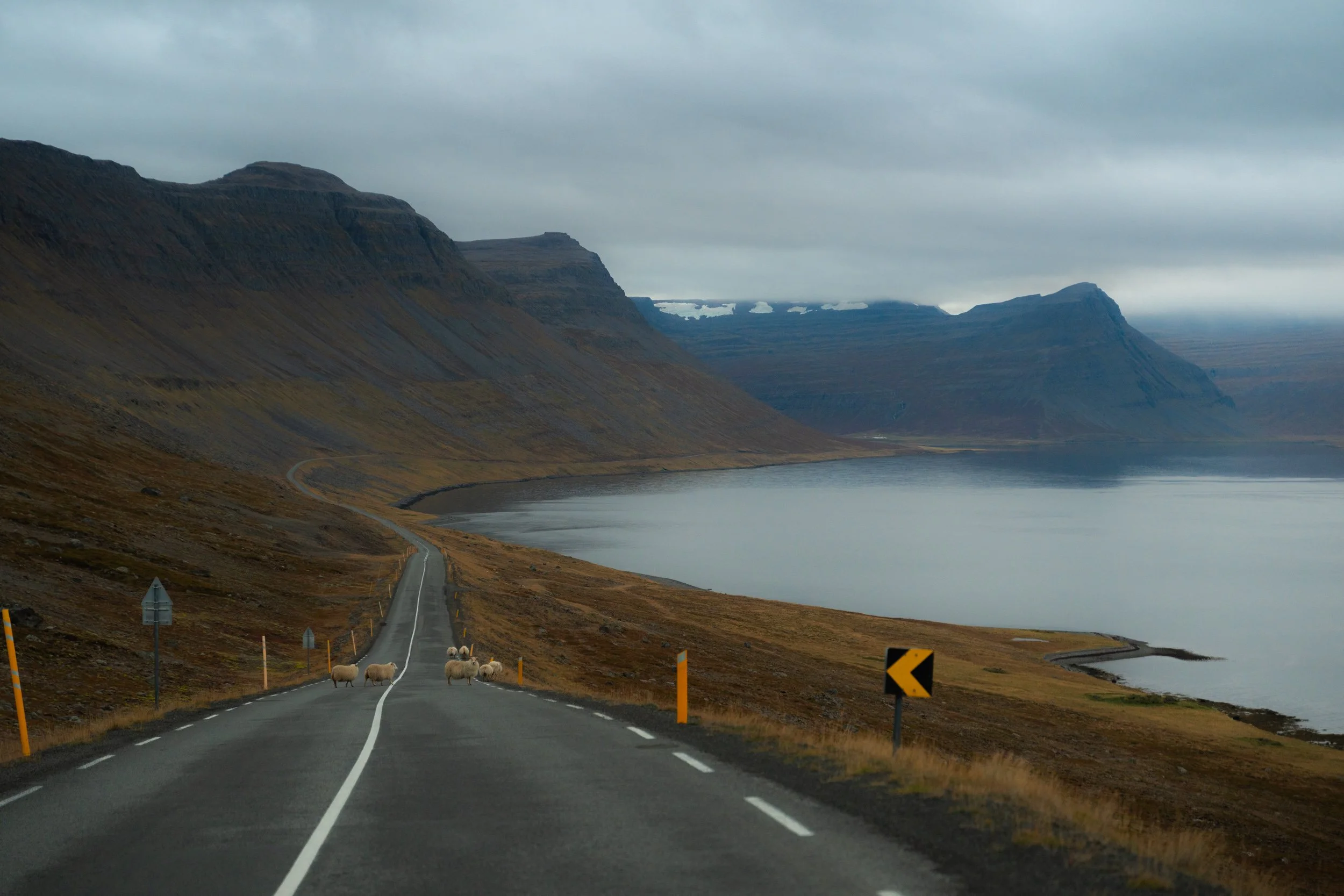 Chirag sadhnani - ICELAND - WILD CHILD STUDIOS-112.jpg