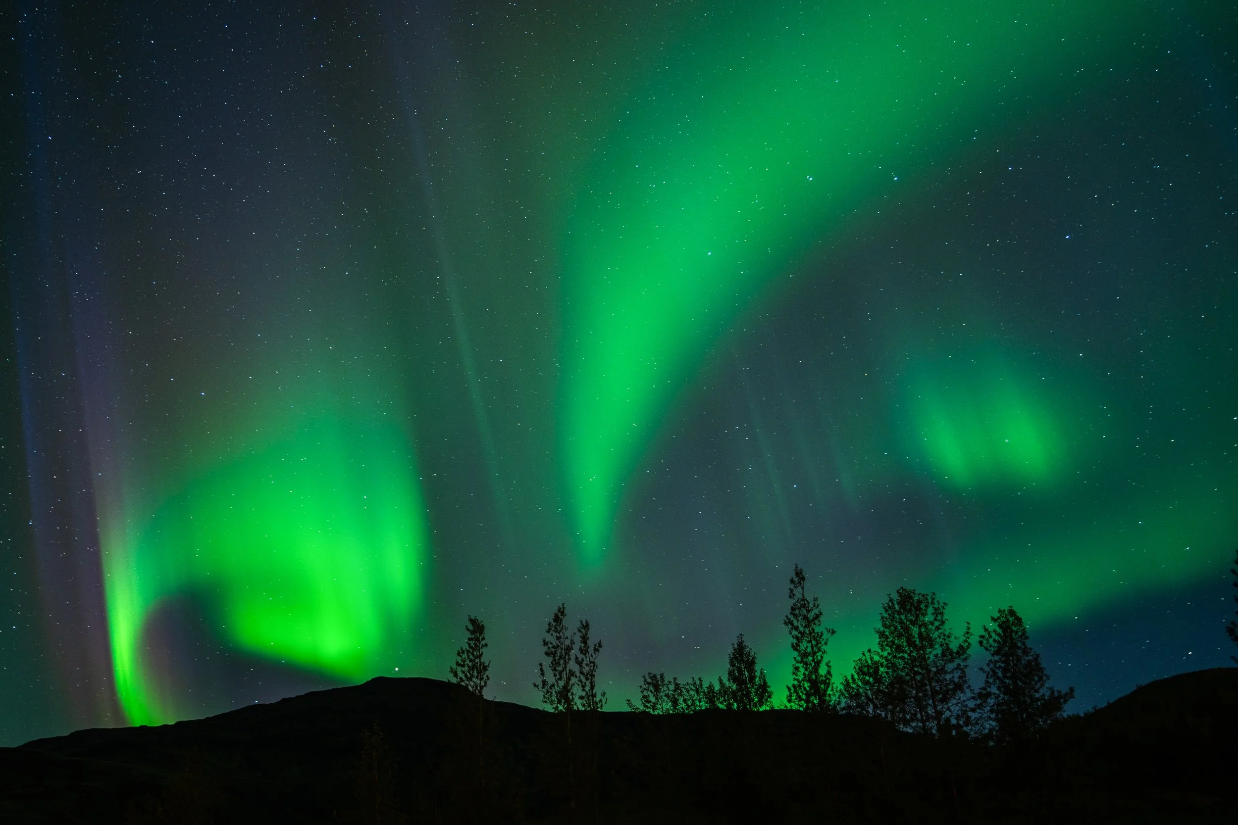 Chirag sadhnani - ICELAND - WILD CHILD STUDIOS-2.jpg