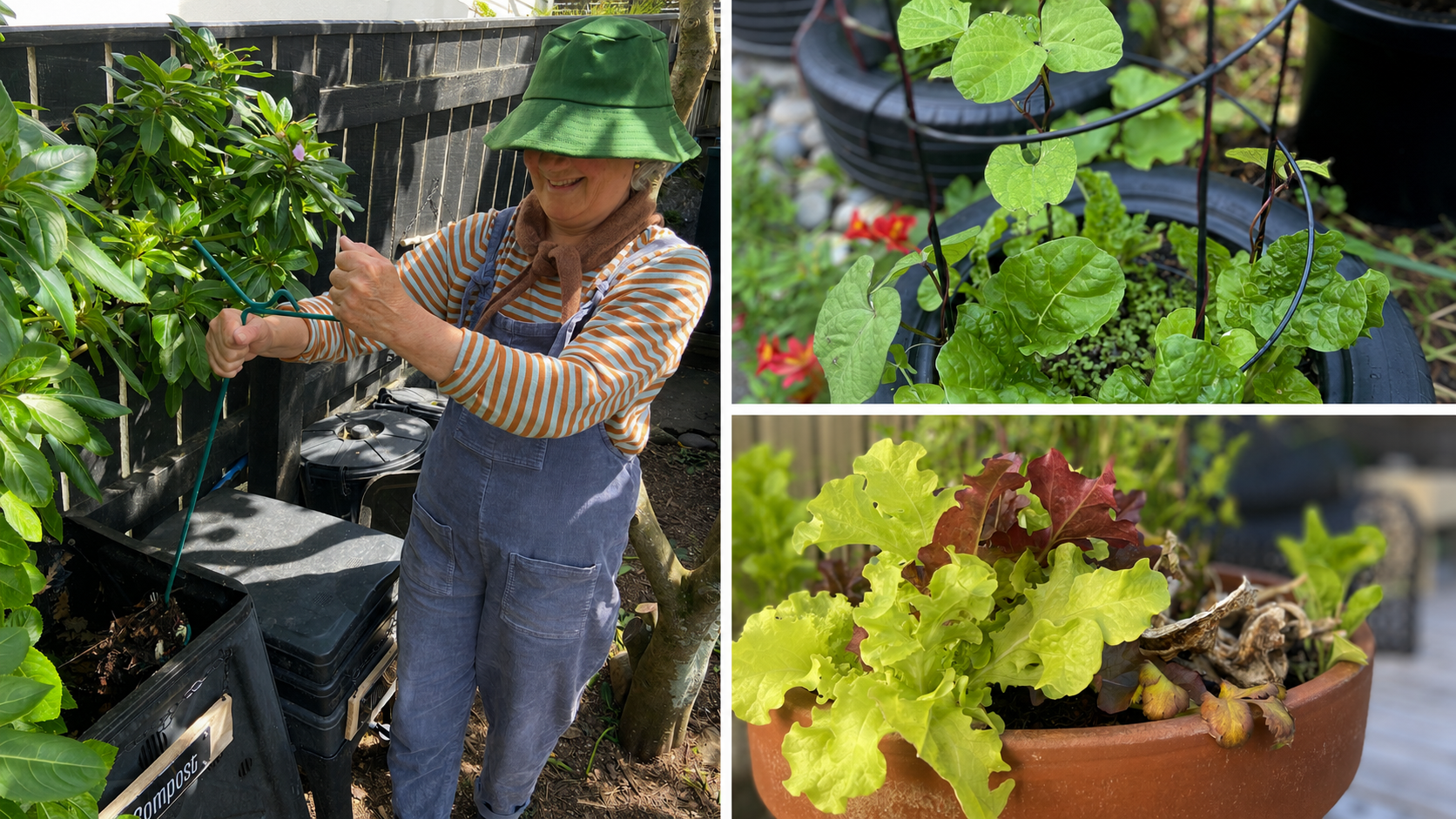 Davina working beside the compost system, with leafy vegetables growing at Seed to Sea