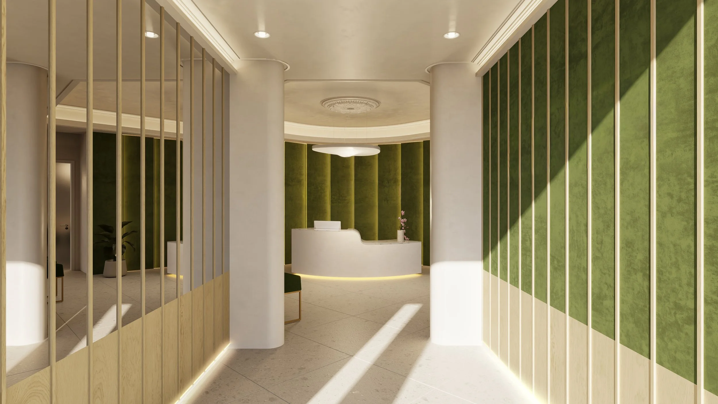 V1  VUE C sans logo.jpg