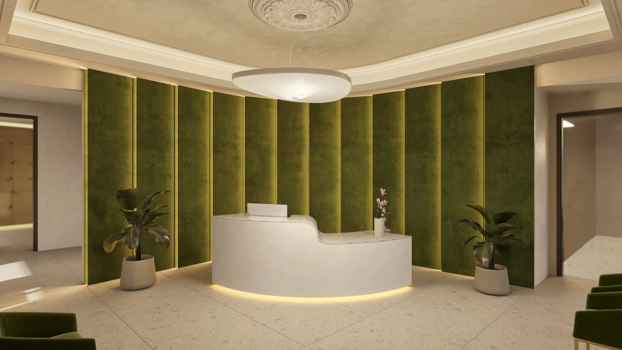 V1  VUE A sans logo.jpg