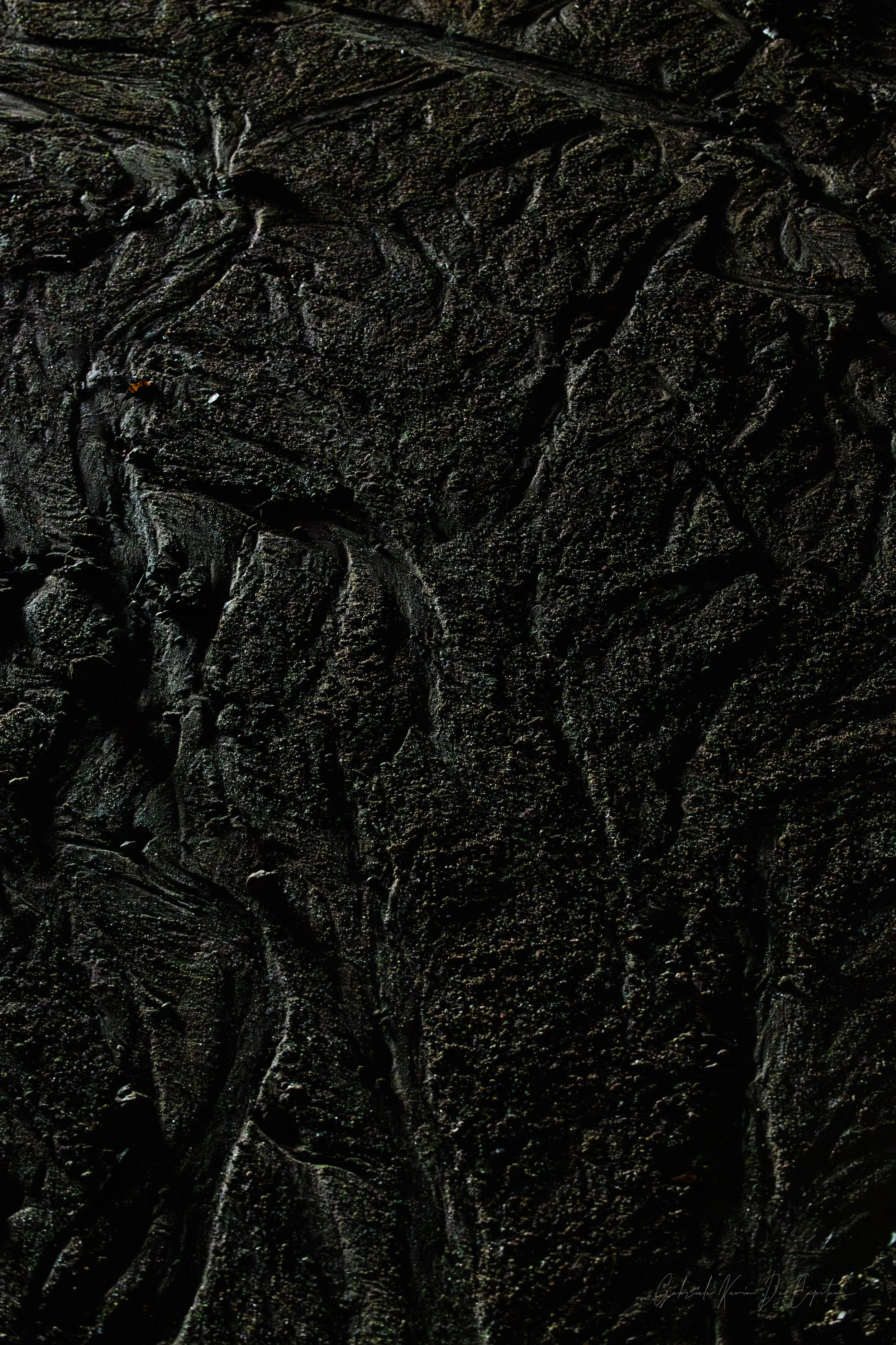 _DSC8680.jpg