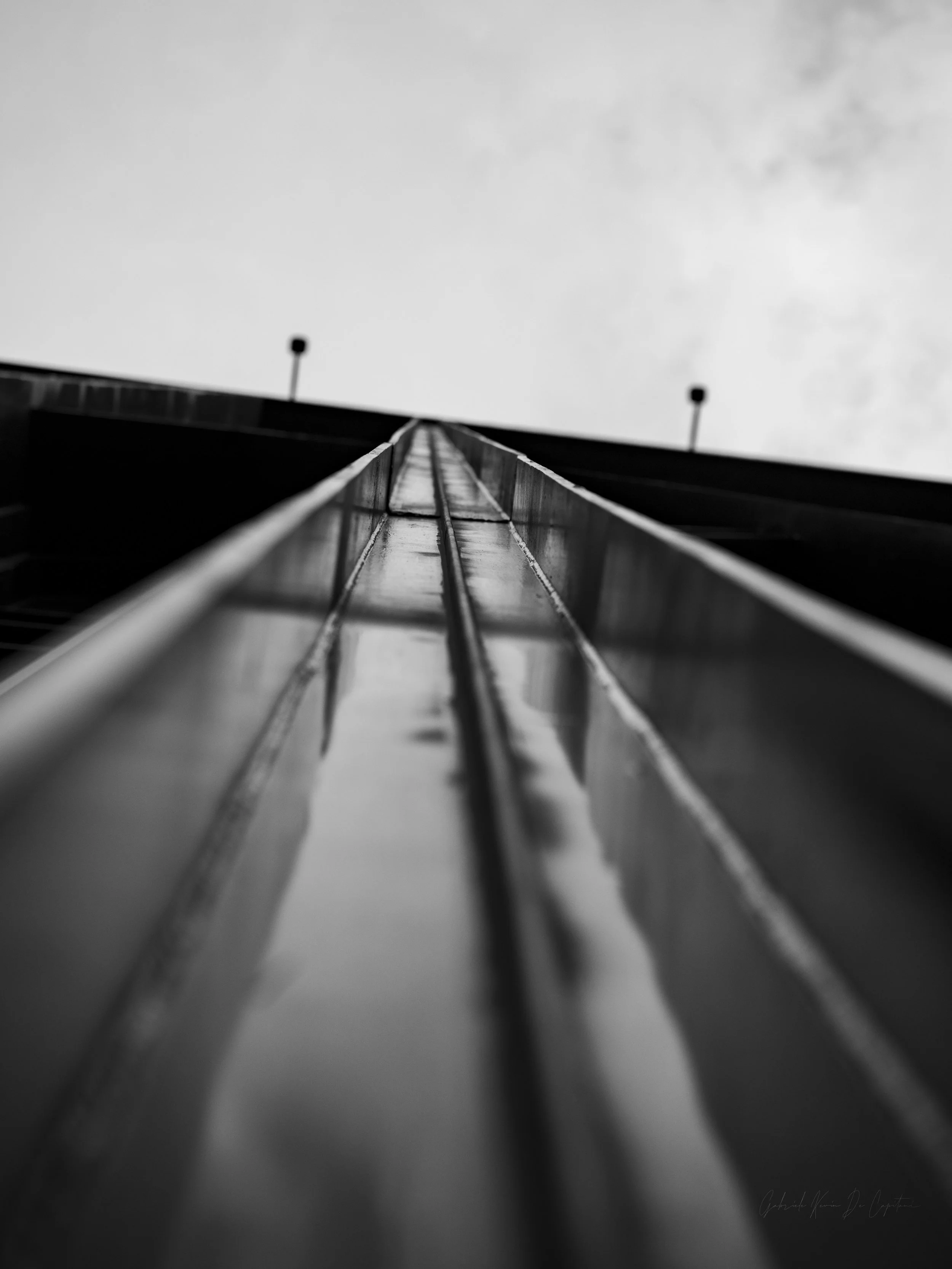 DSC_2934.jpg