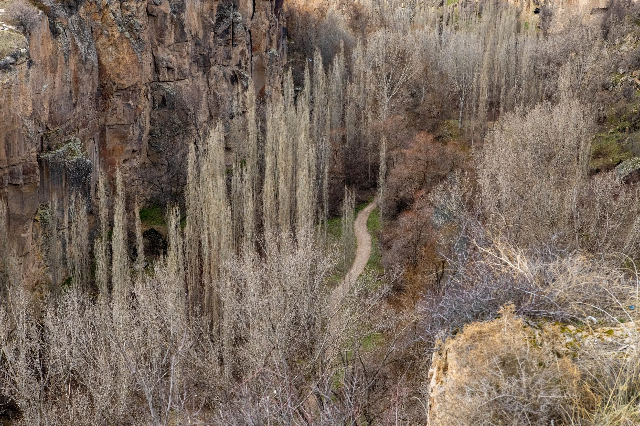 _DSC8287.jpg