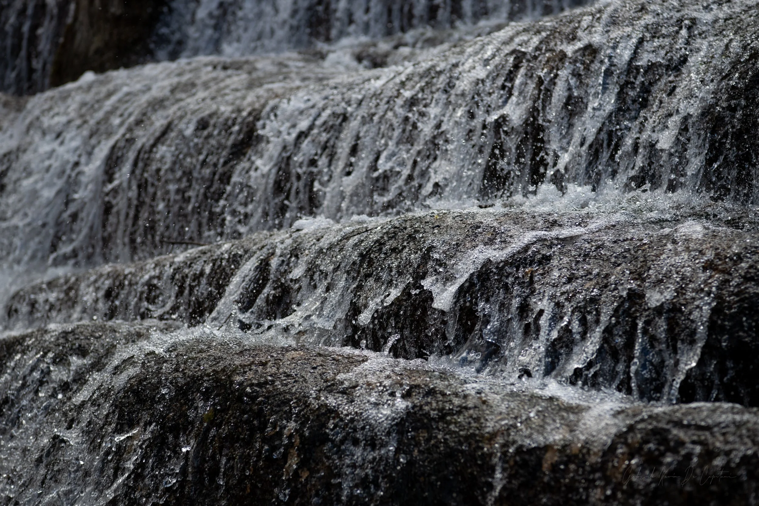 _DSC9243.jpg