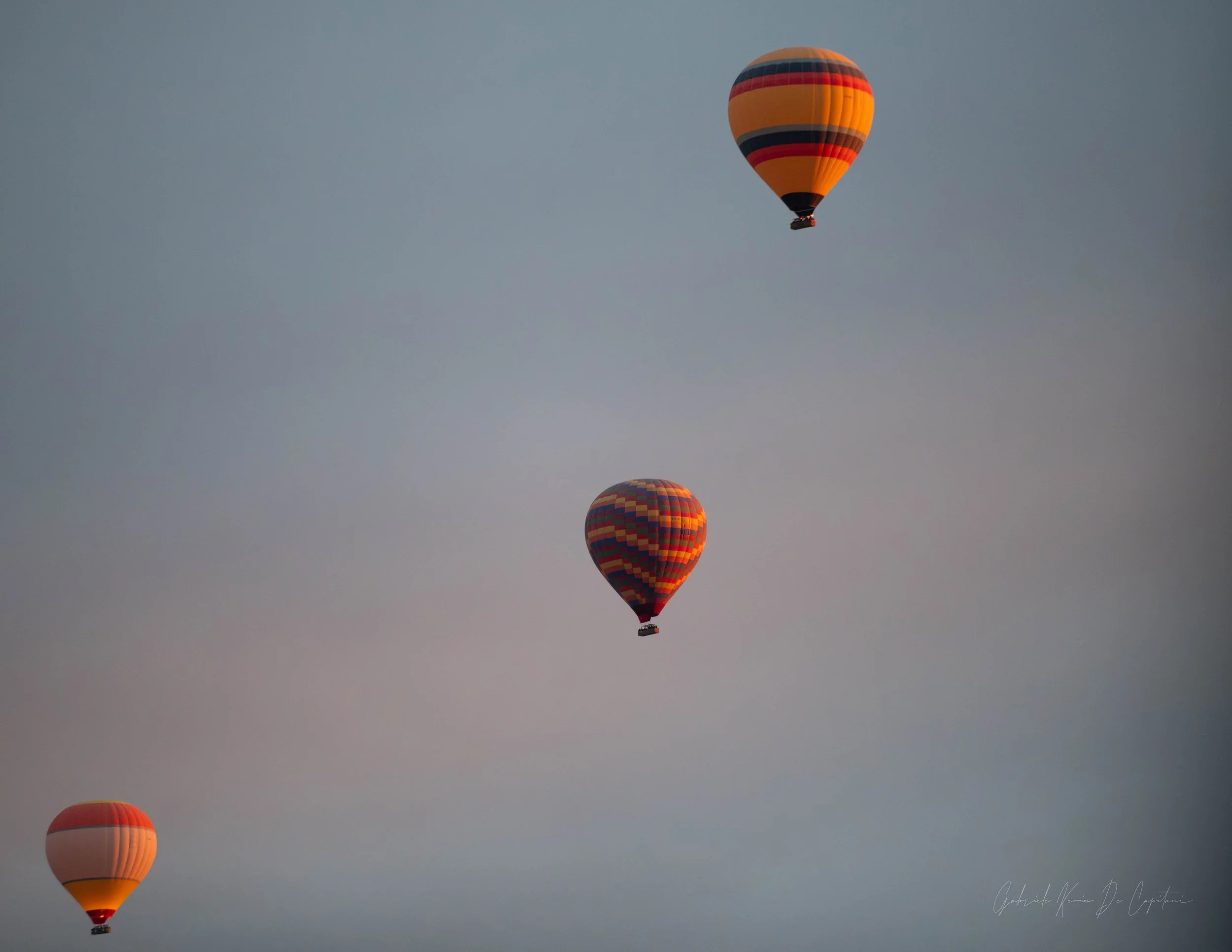 _DSC8514.jpg